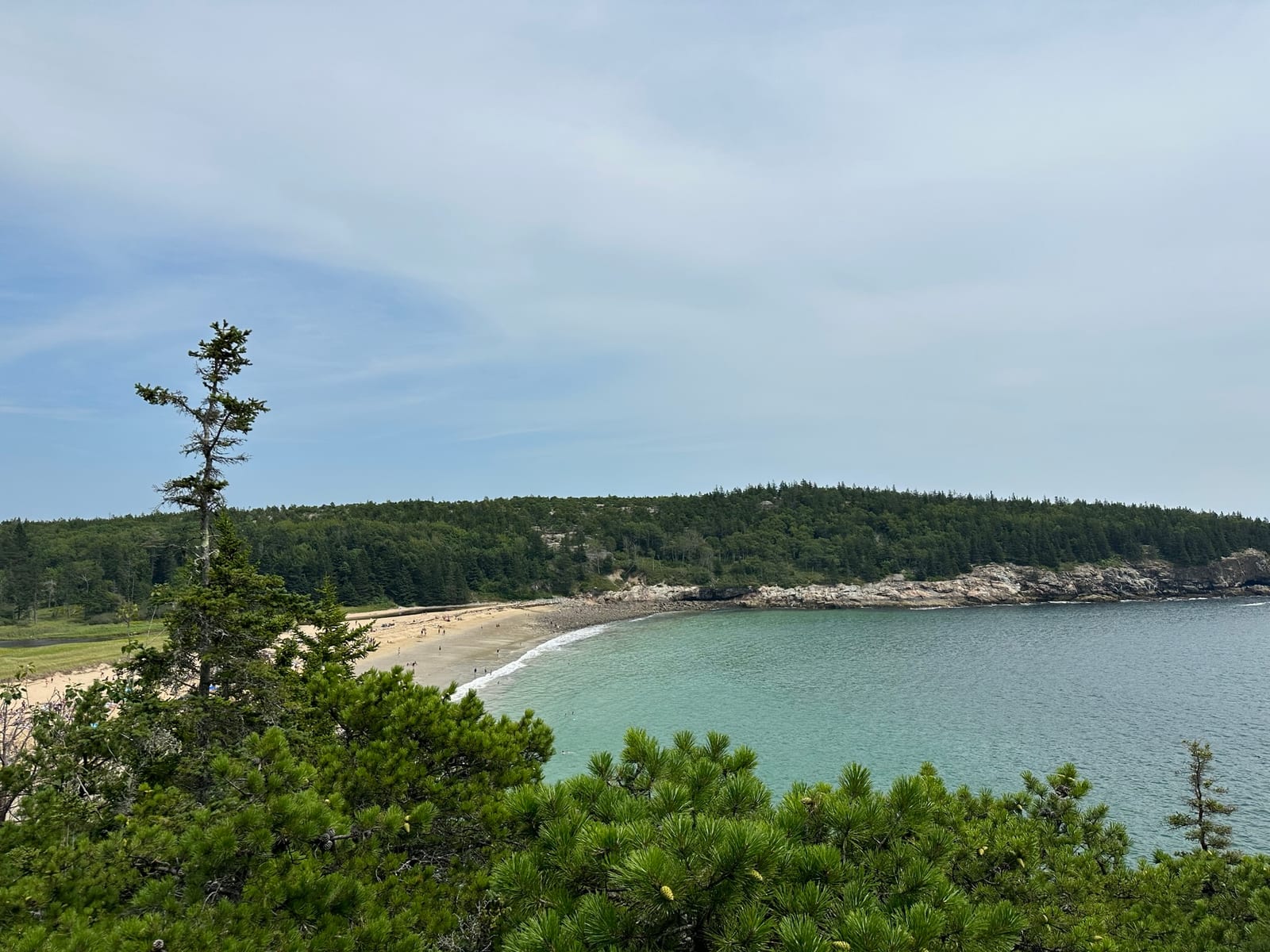 Acadia & the Maine Coast with Teddy
