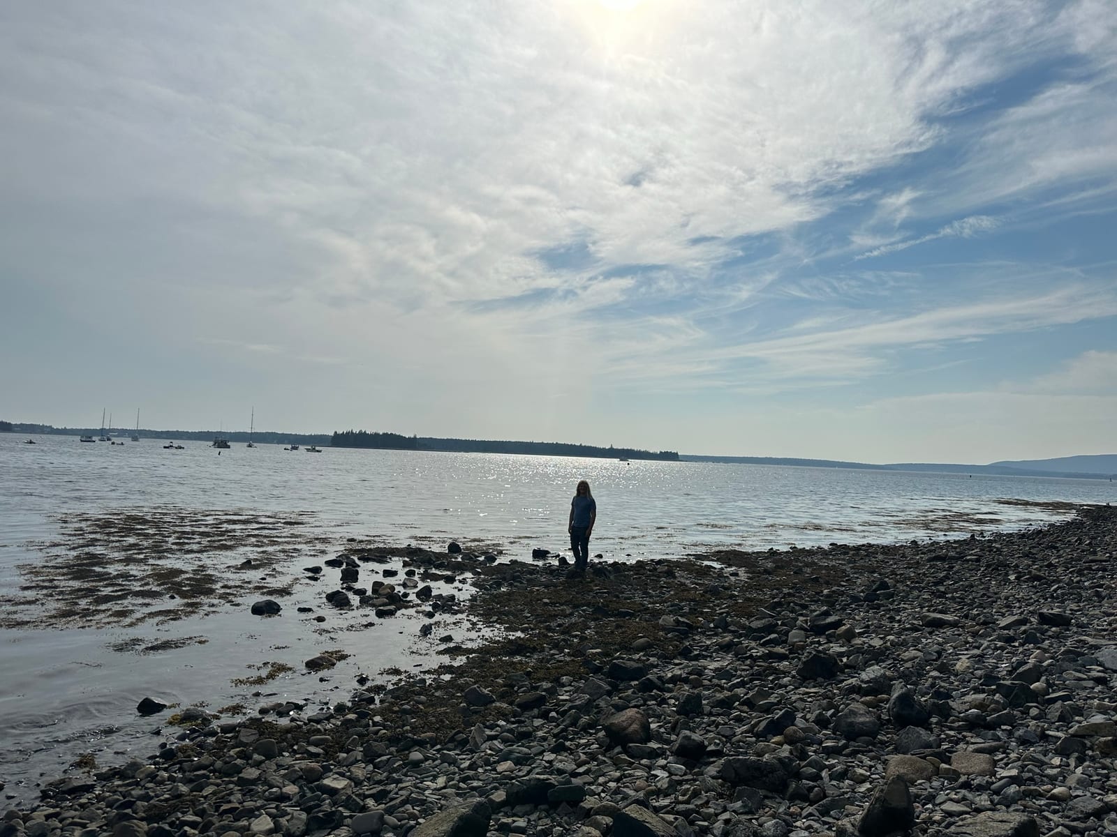 Acadia & the Maine Coast with Teddy