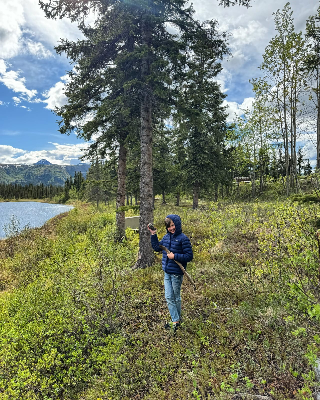 Denali & the Alaska Range