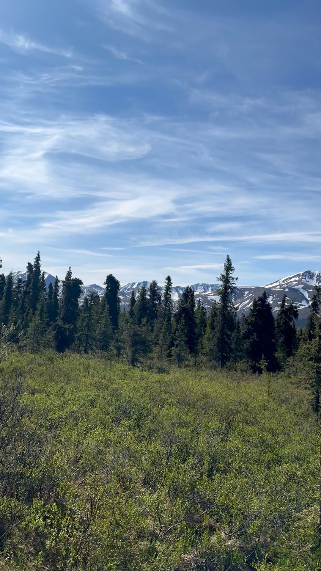 Denali & the Alaska Range