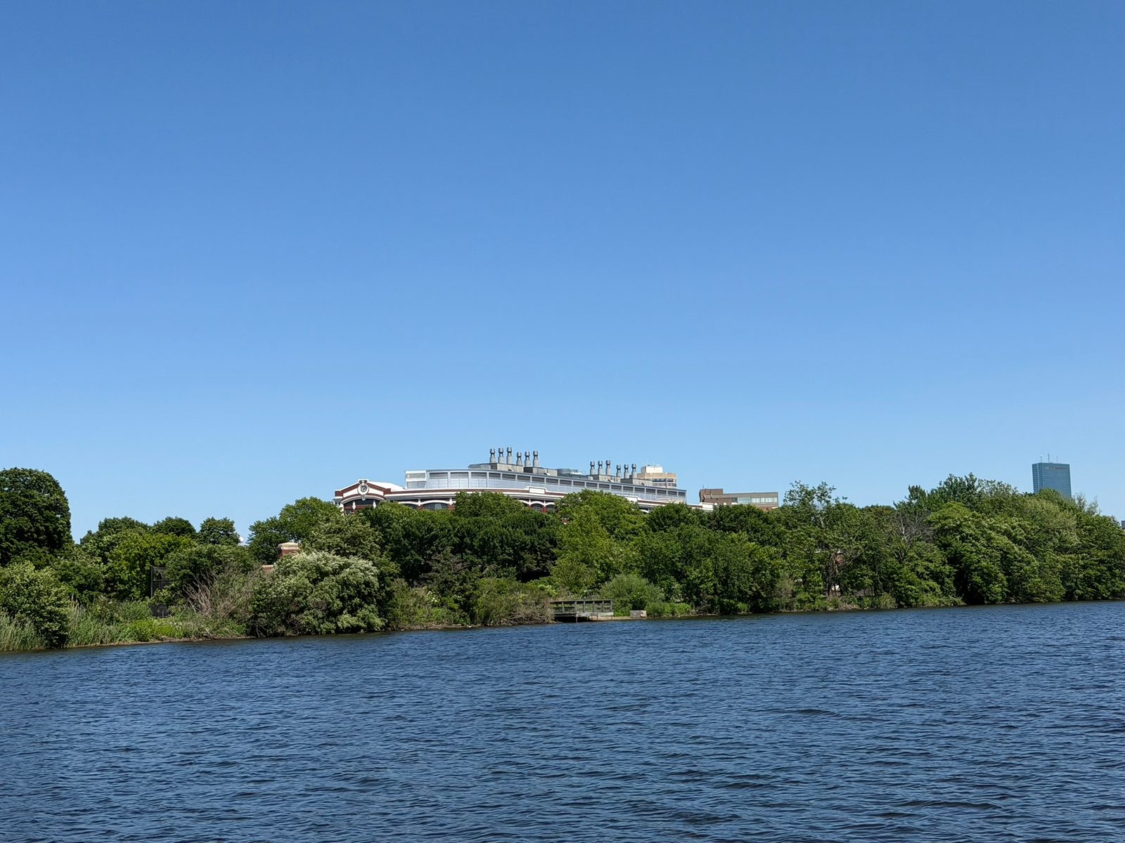Charles River — Charlestown to Cambridge with Teddy
