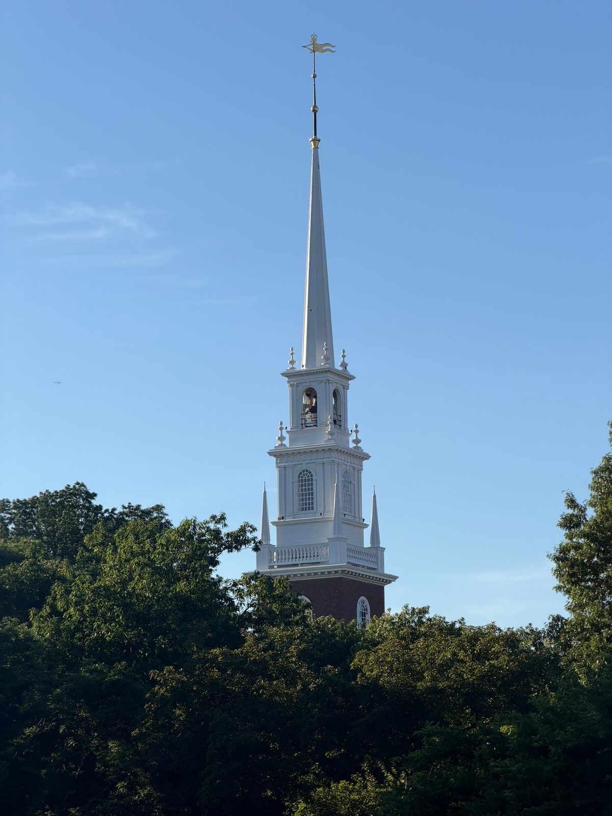 Charles River — Charlestown to Cambridge with Teddy