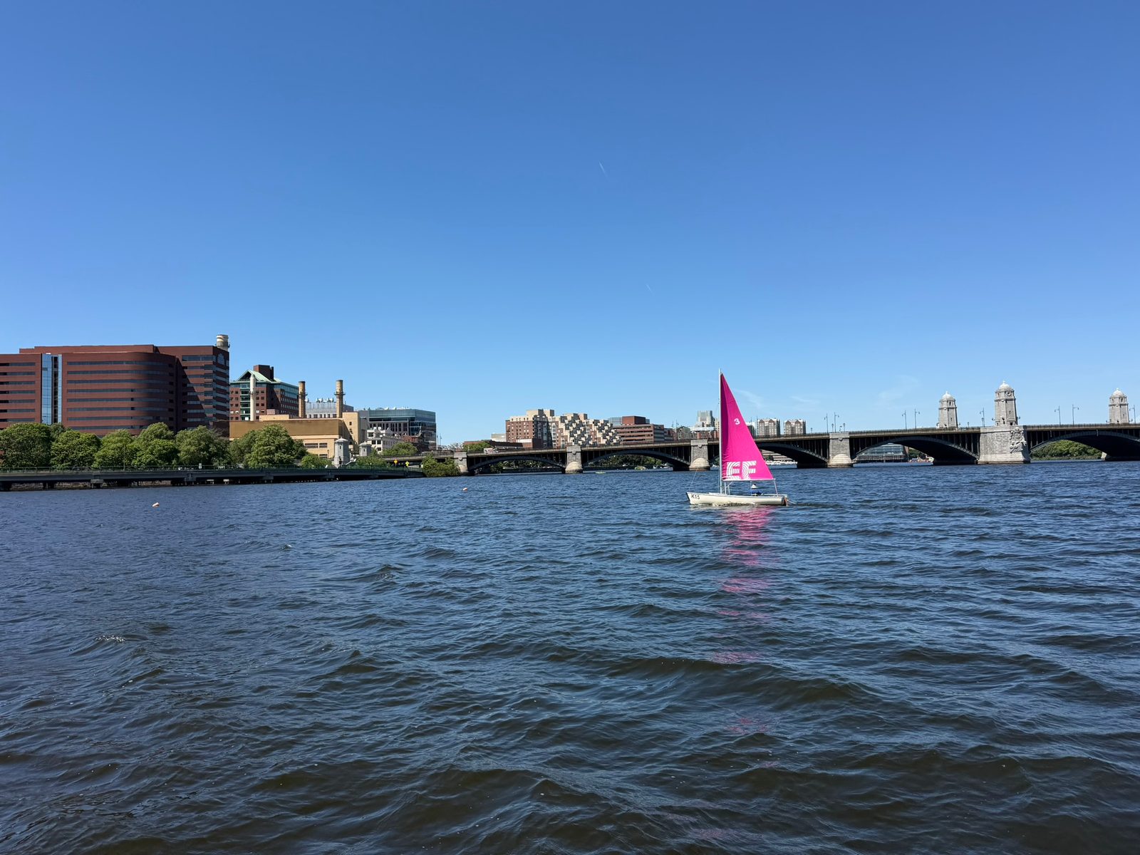 Charles River — Charlestown to Cambridge with Teddy