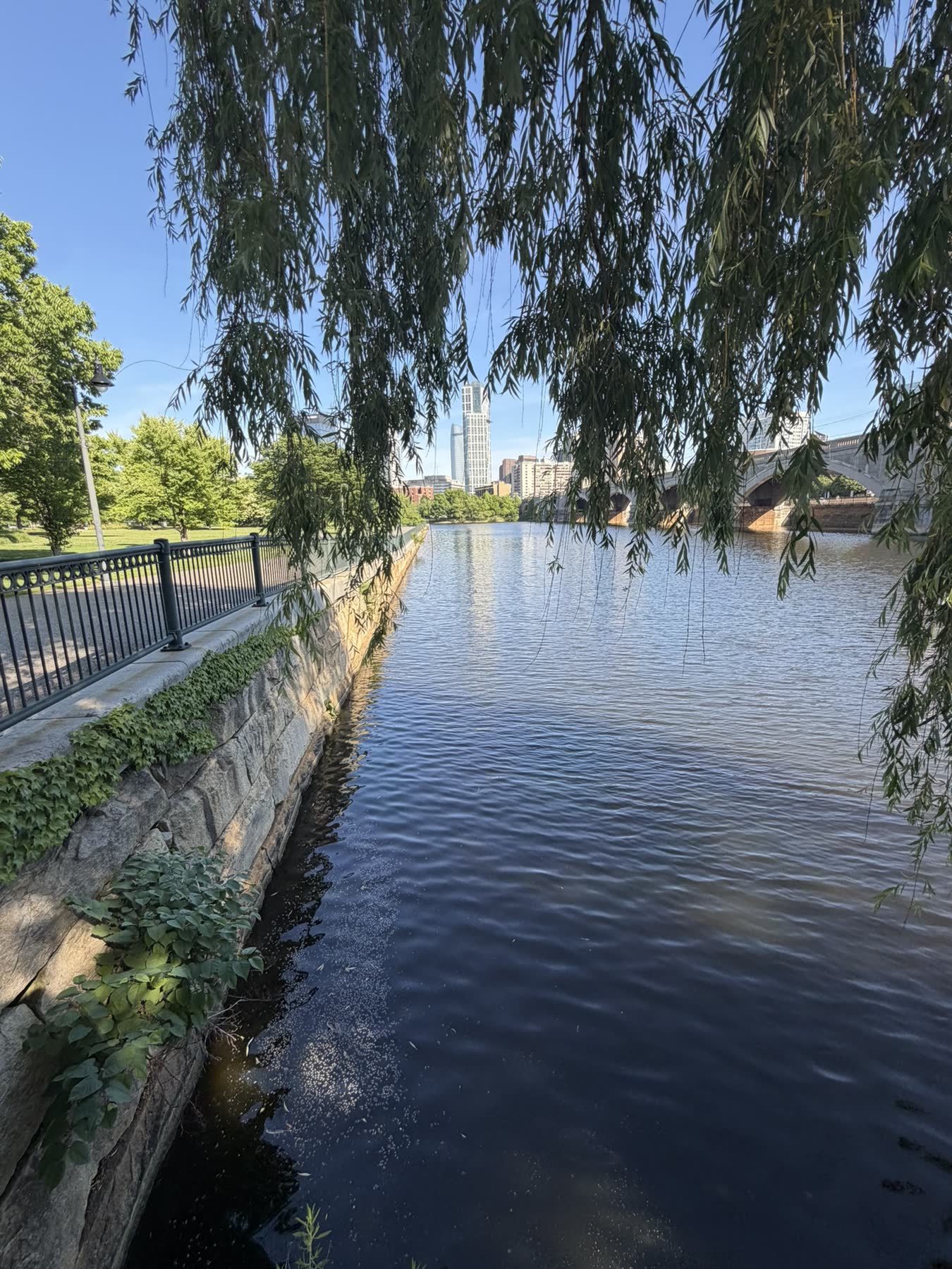 Charles River — Charlestown to Cambridge with Teddy