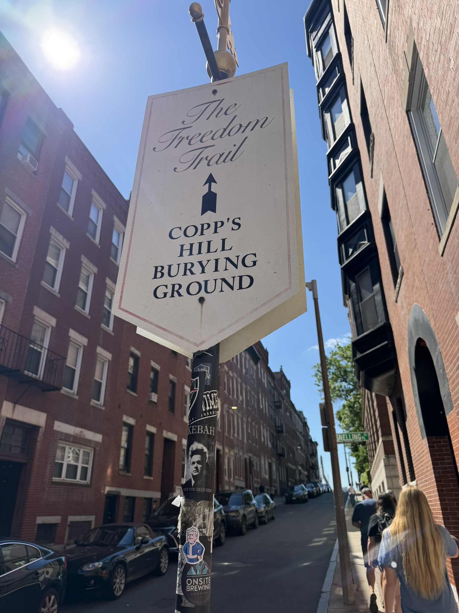 Charles River — Charlestown to Cambridge with Teddy