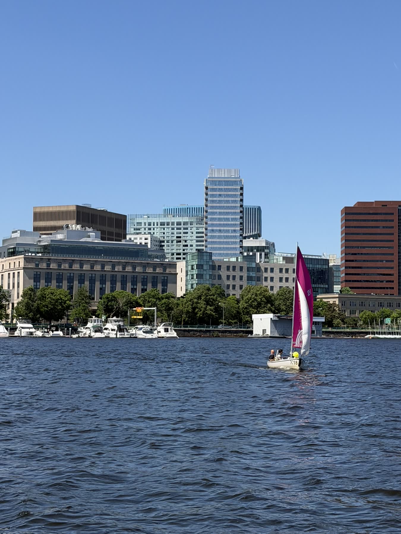 Charles River — Charlestown to Cambridge with Teddy