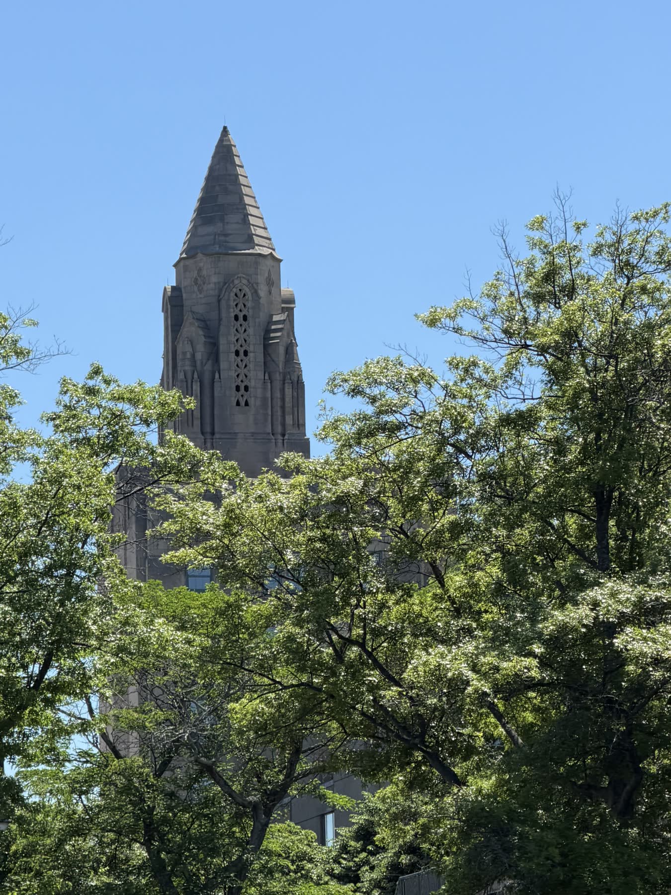 Charles River — Charlestown to Cambridge with Teddy