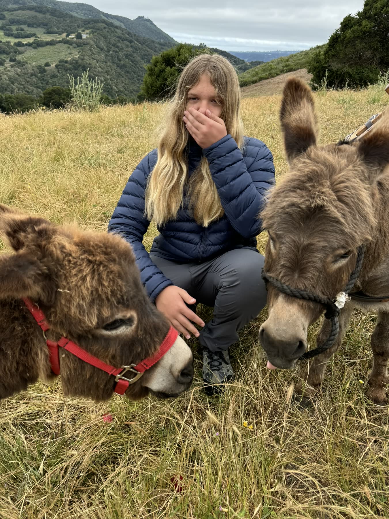 Carmel Valley — the Donkey Trek