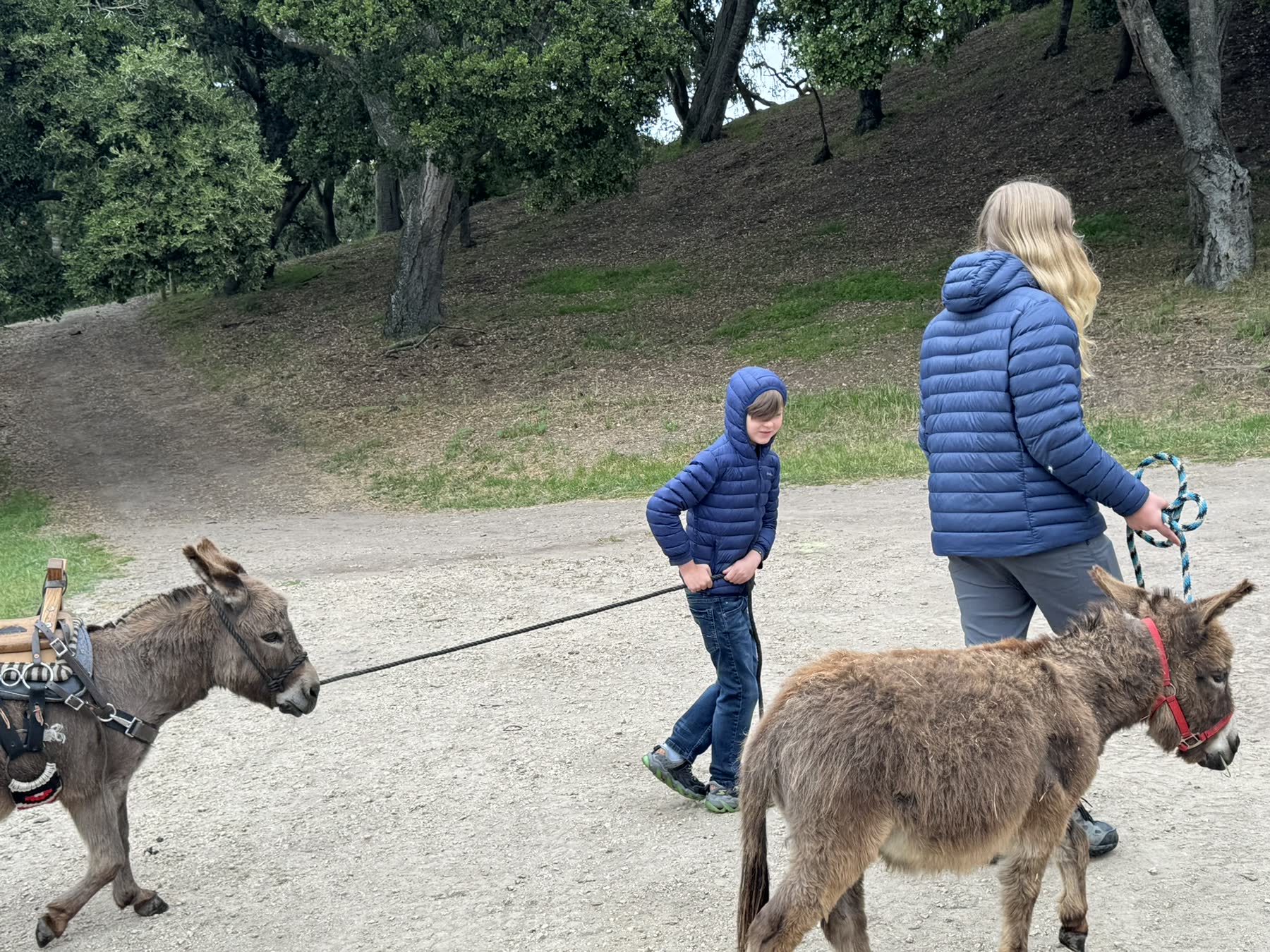 Carmel Valley — the Donkey Trek