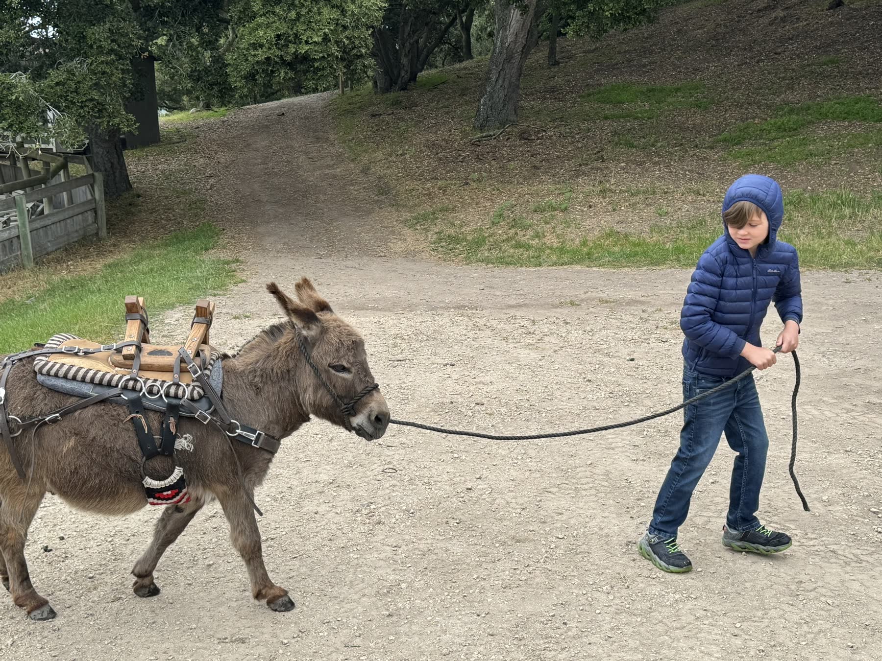 Carmel Valley — the Donkey Trek
