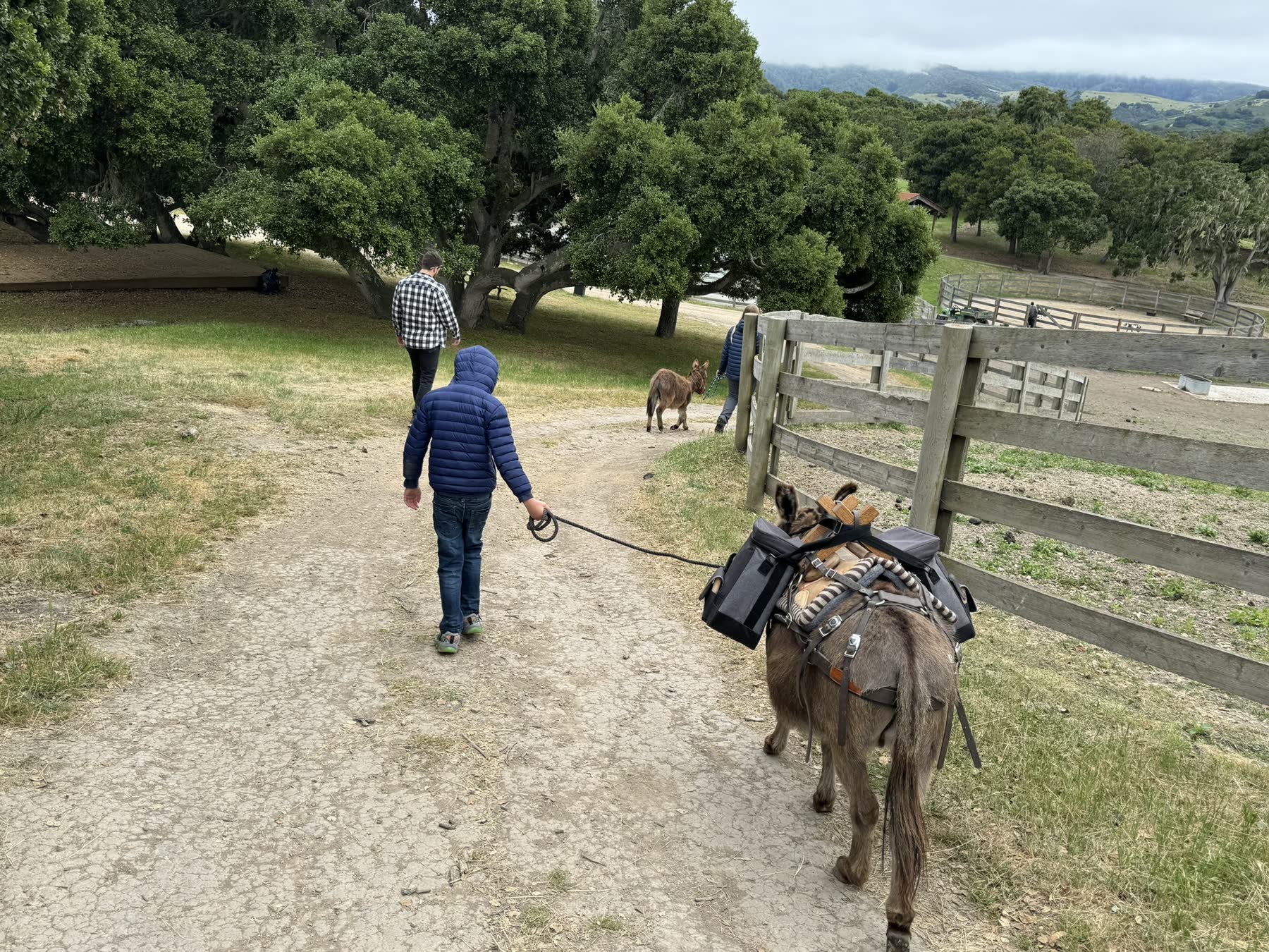 Carmel Valley — the Donkey Trek