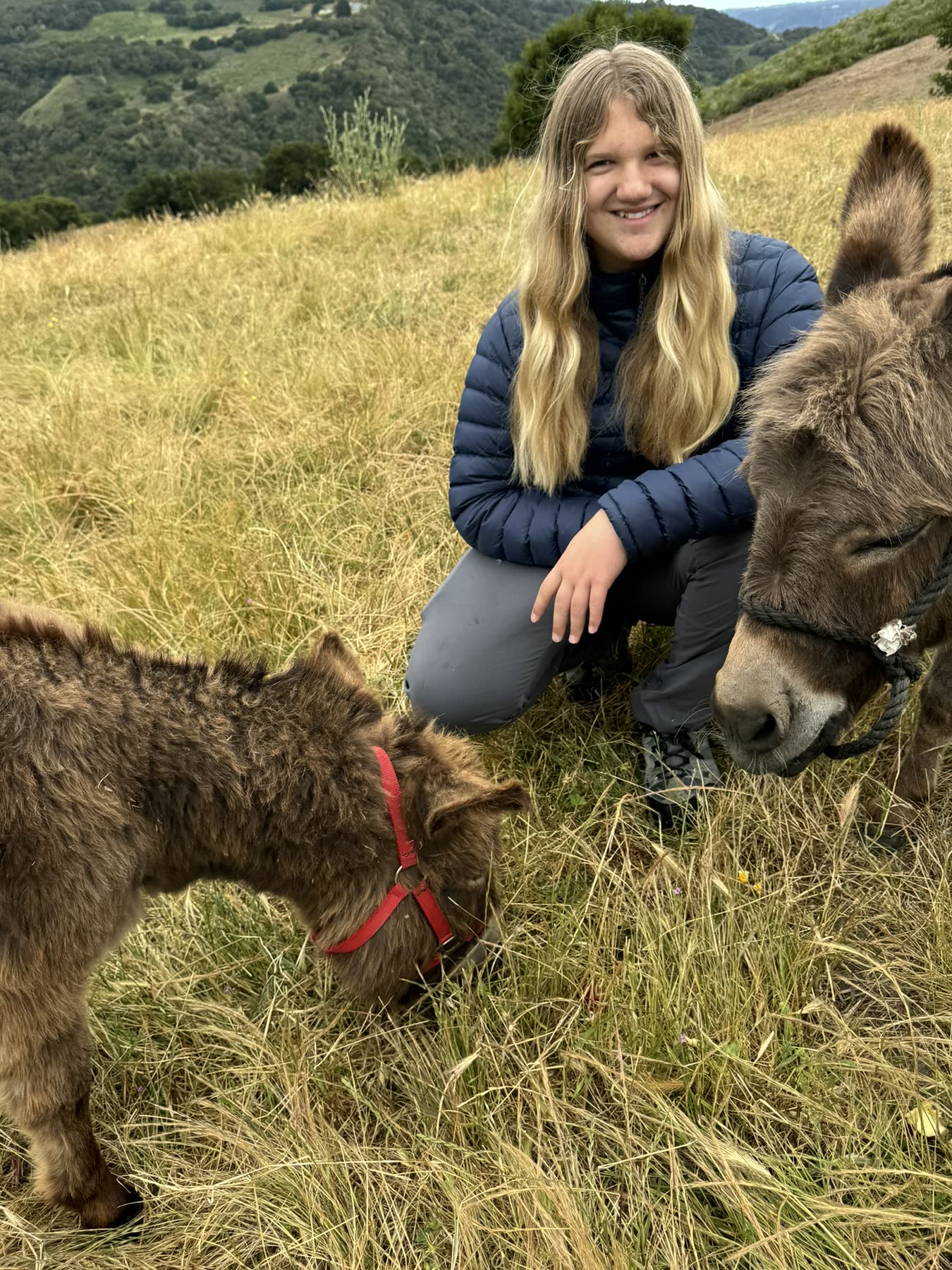 Carmel Valley — the Donkey Trek
