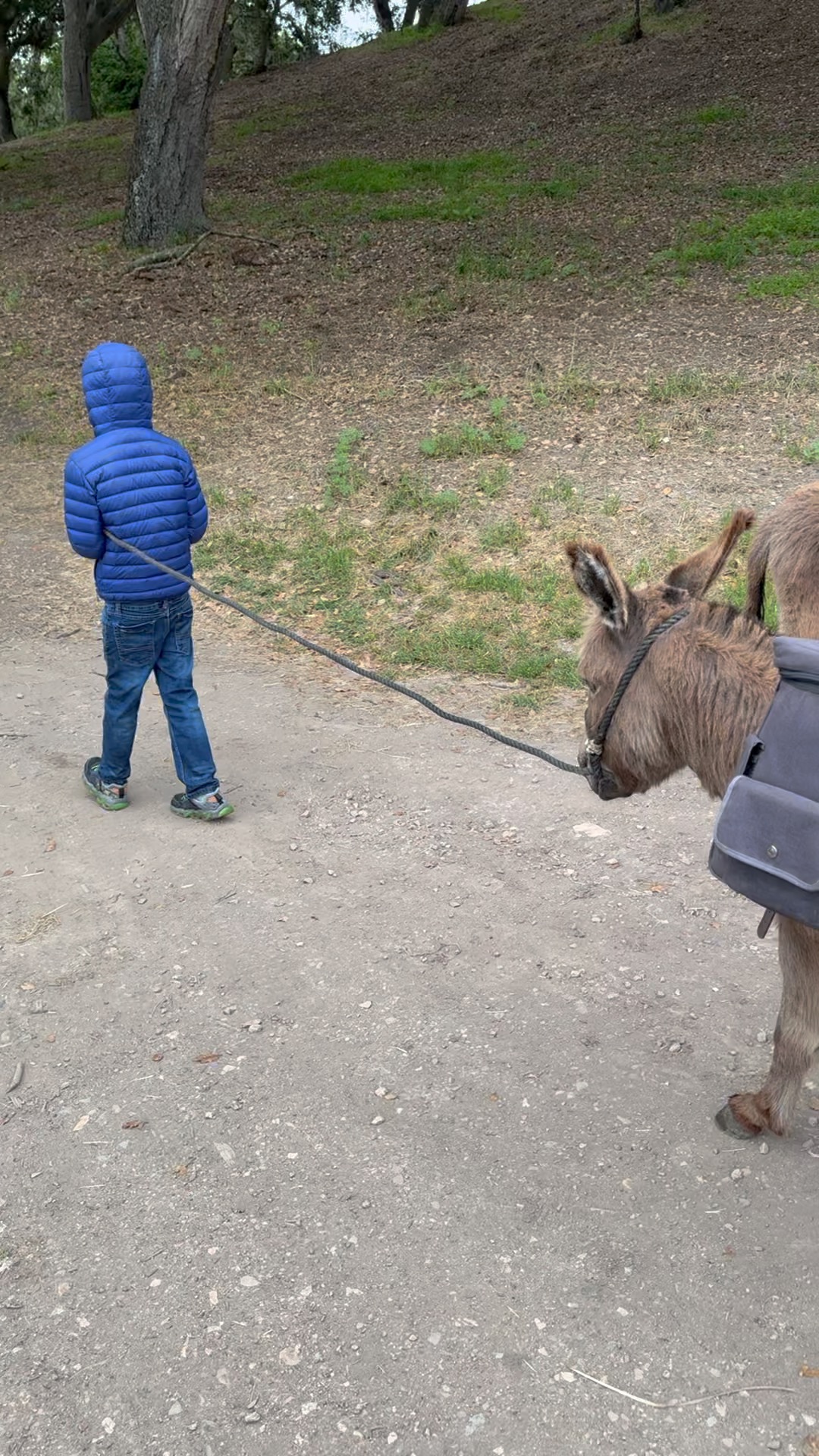 Carmel Valley — the Donkey Trek