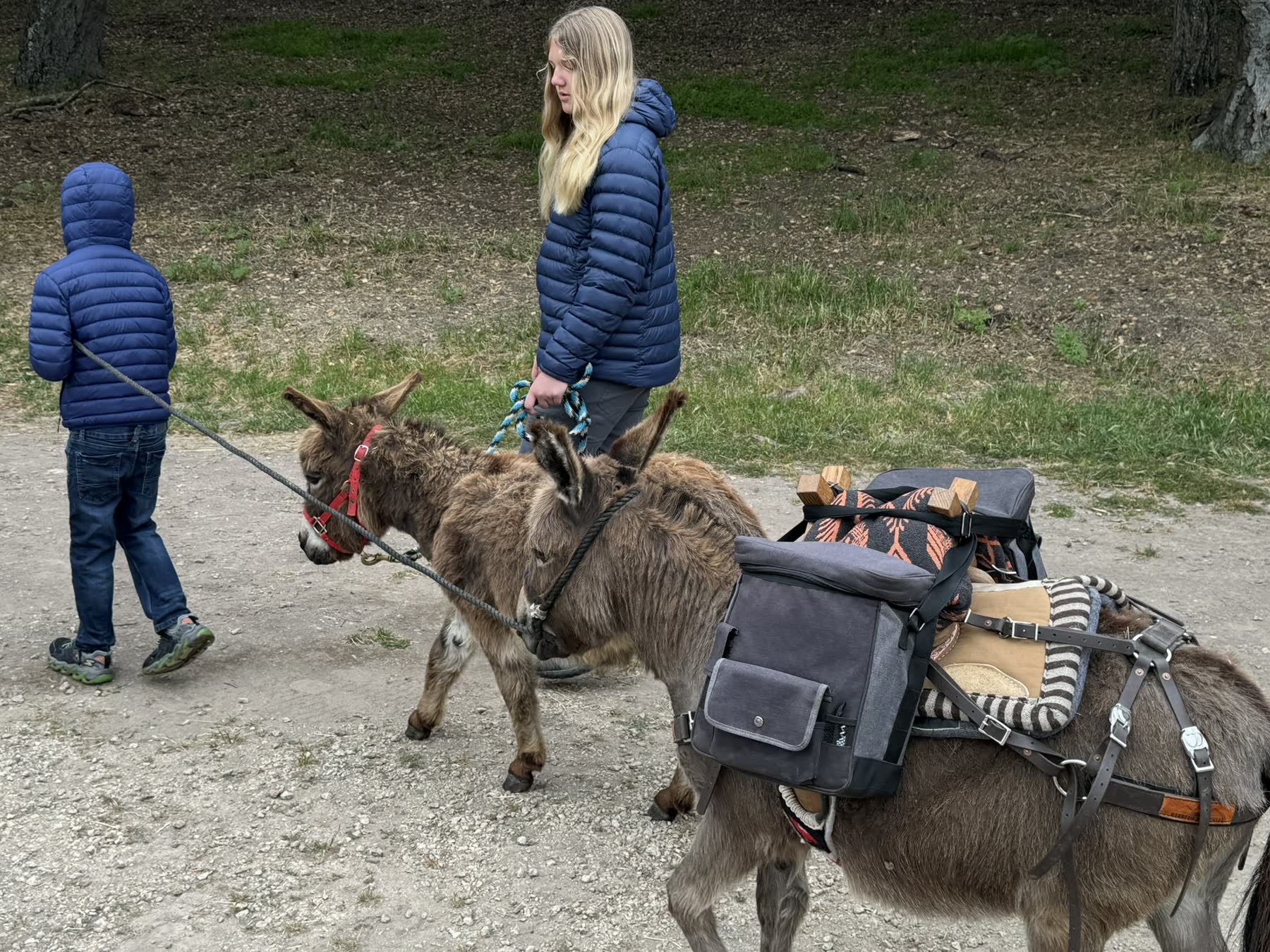 Carmel Valley — the Donkey Trek