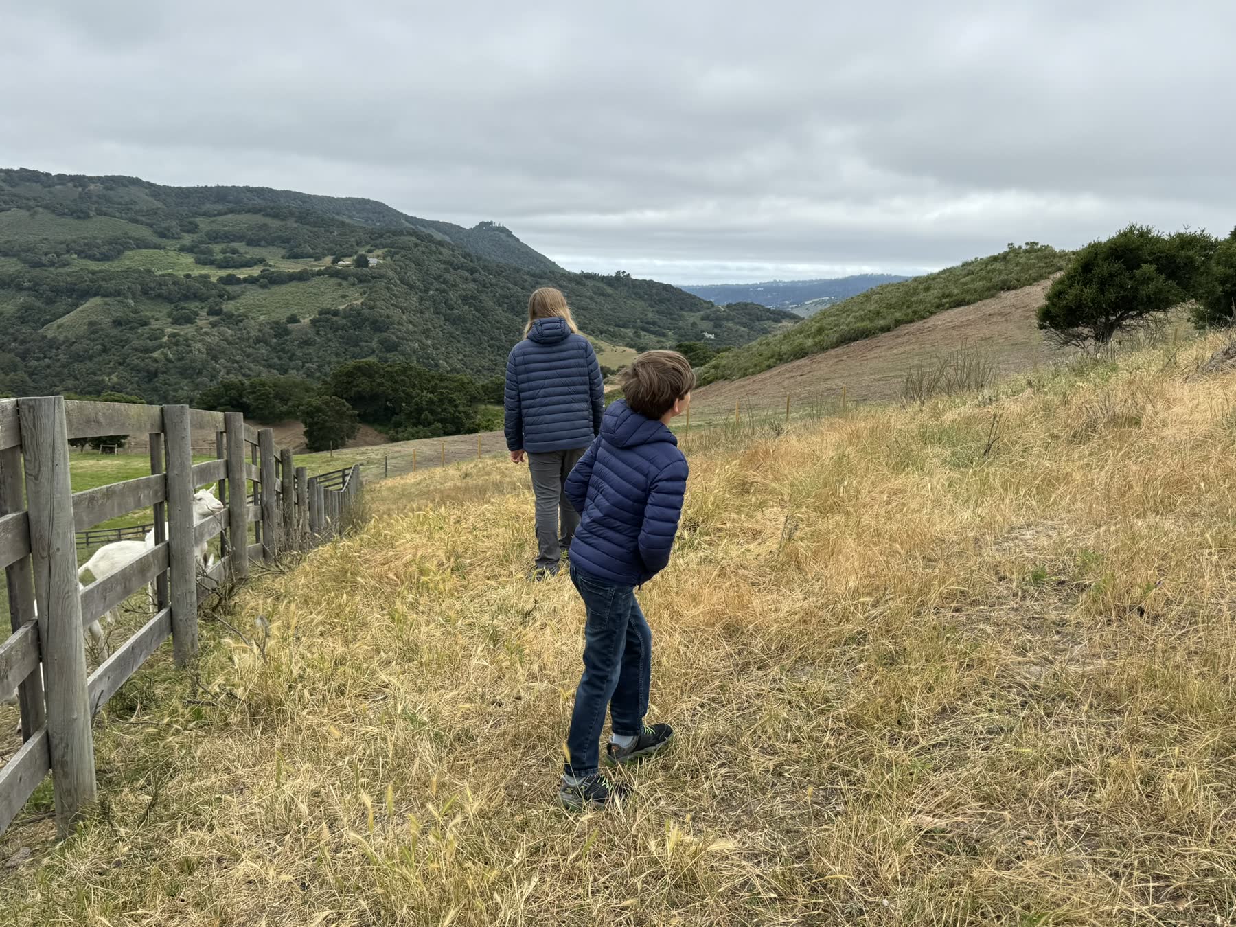 Carmel Valley — the Donkey Trek