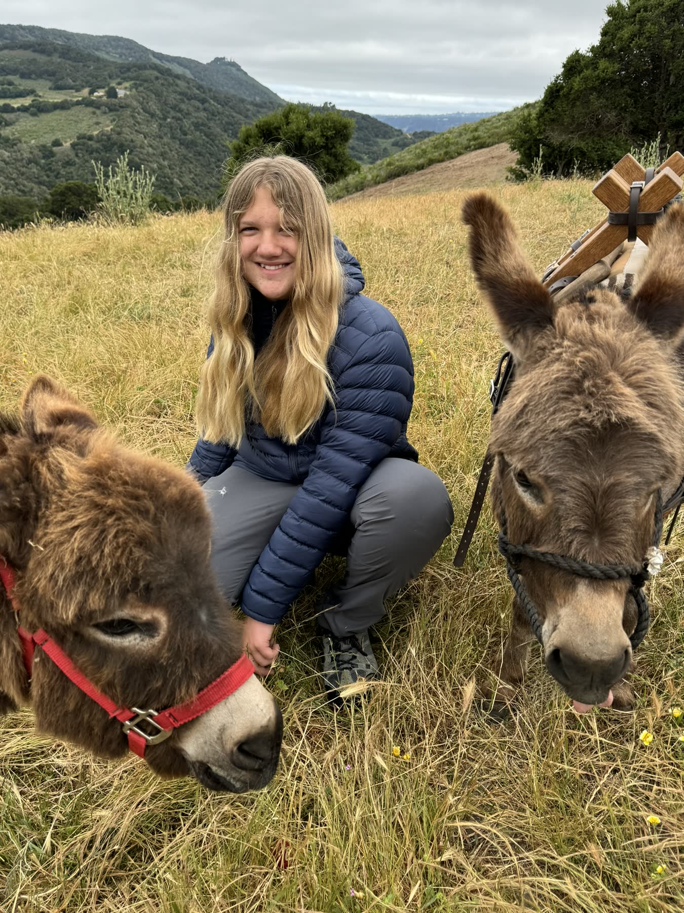 Carmel Valley — the Donkey Trek