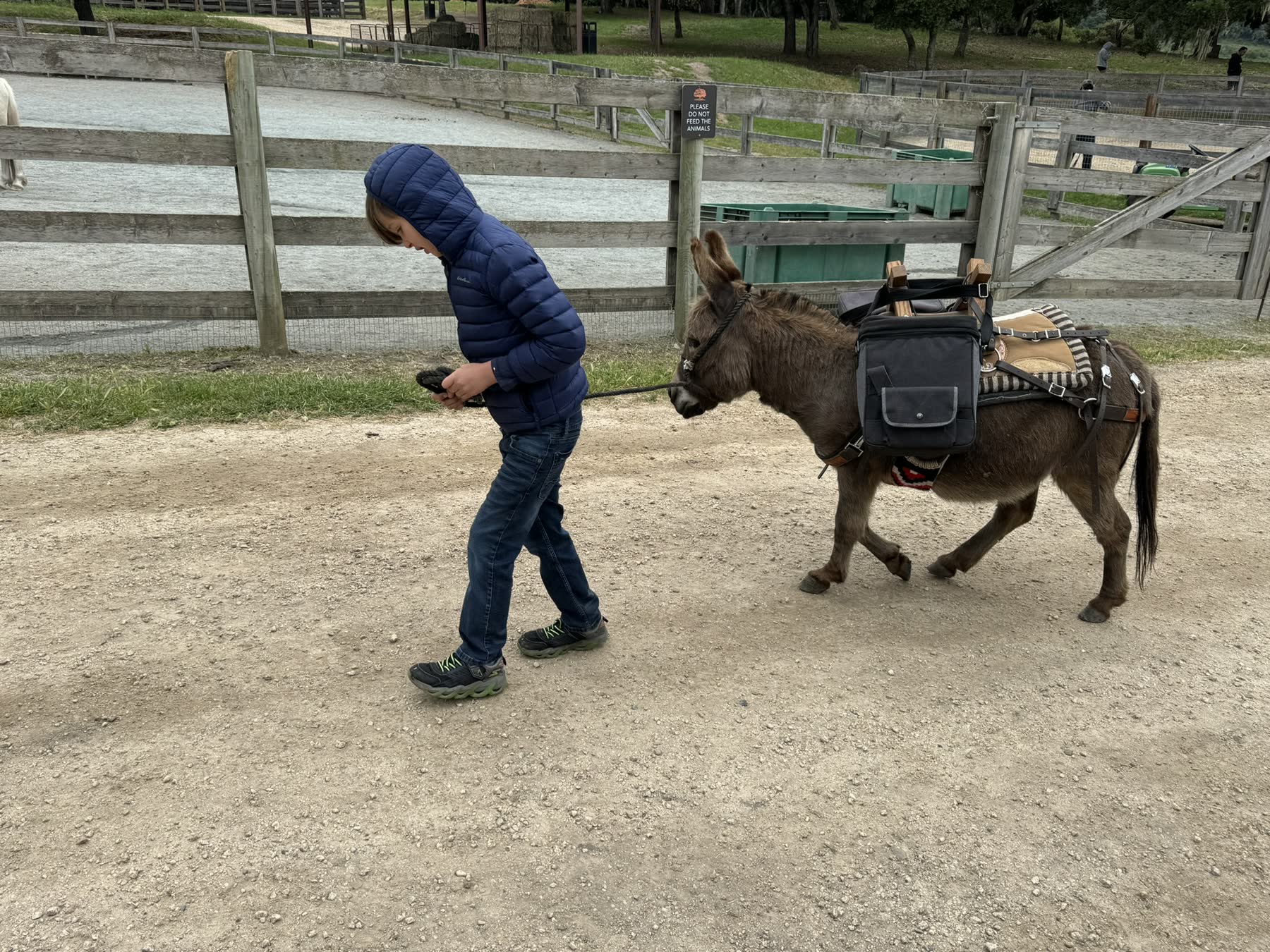 Carmel Valley — the Donkey Trek