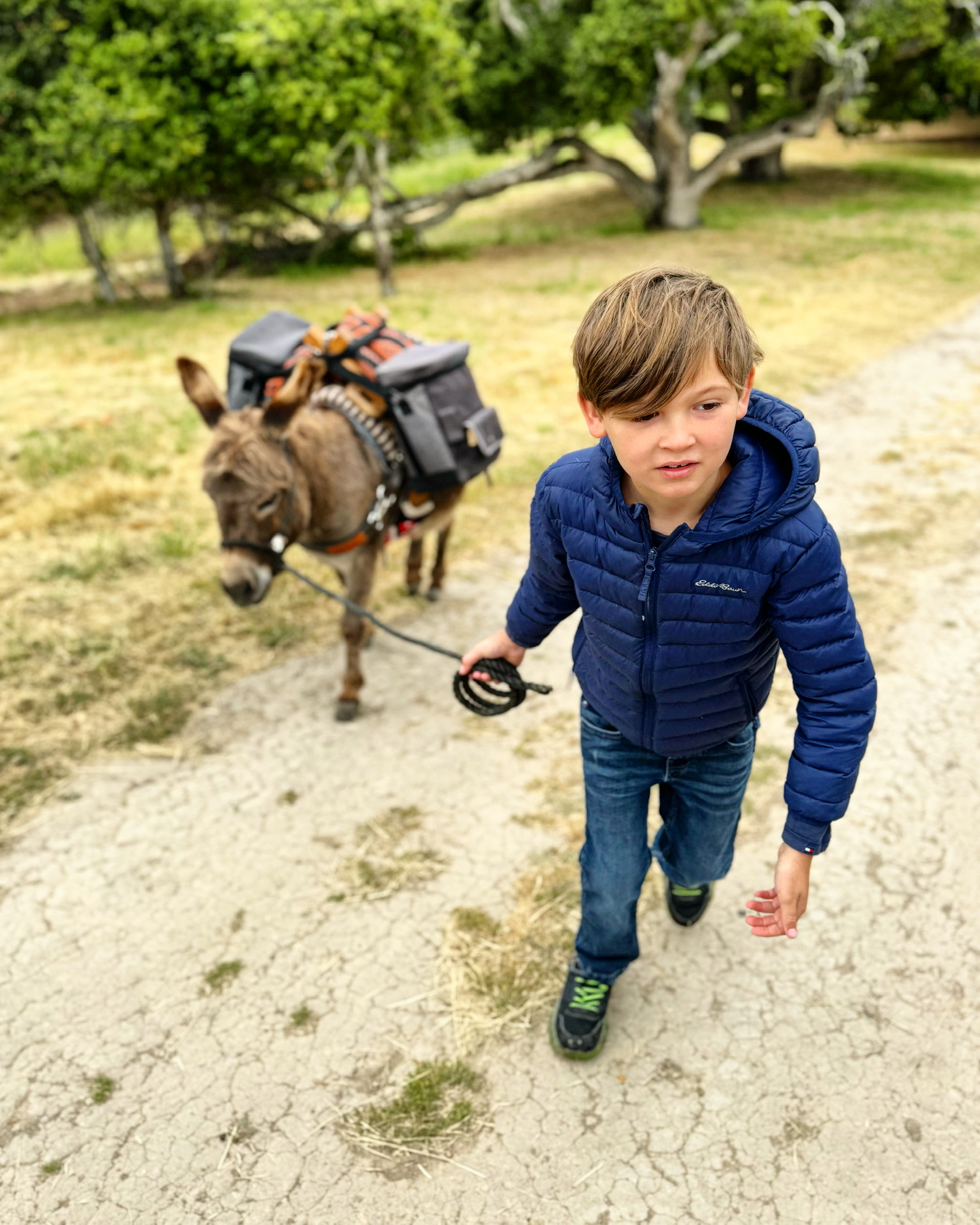 Carmel Valley — the Donkey Trek