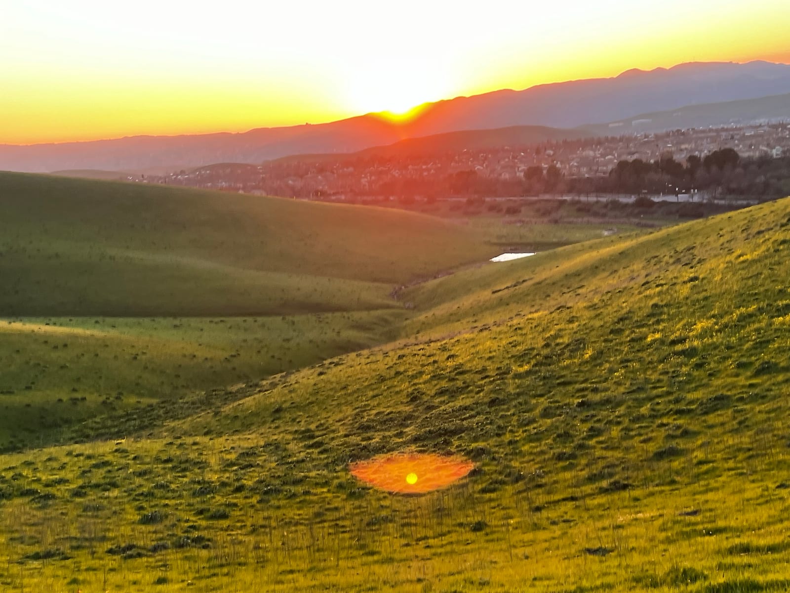 East Bay hills