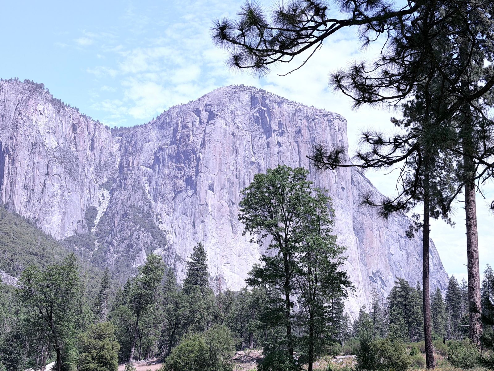 El Capitan Village
