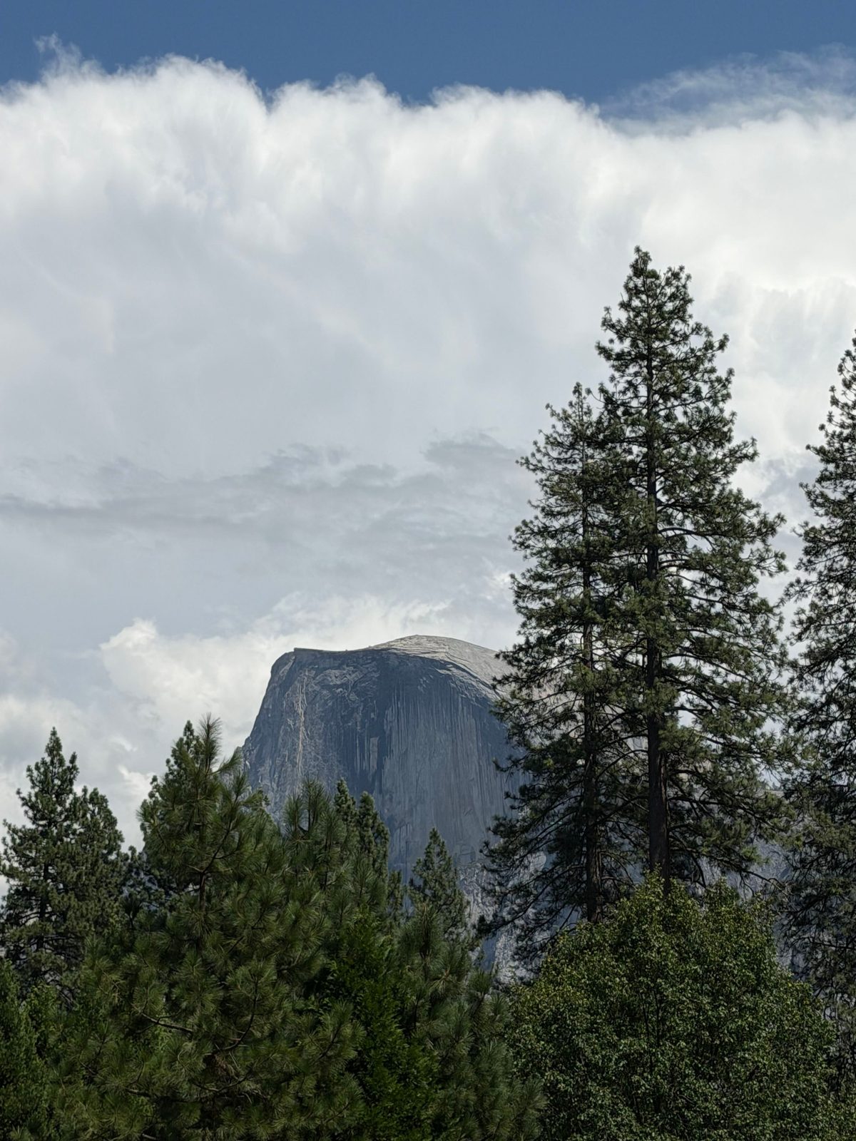 El Capitan Village