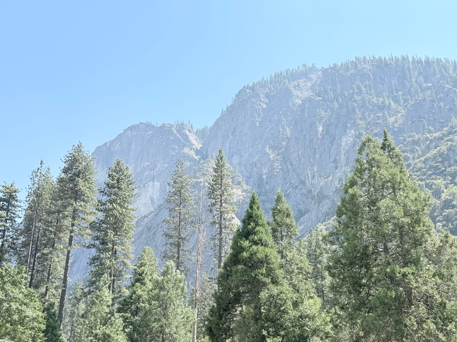 El Capitan Village