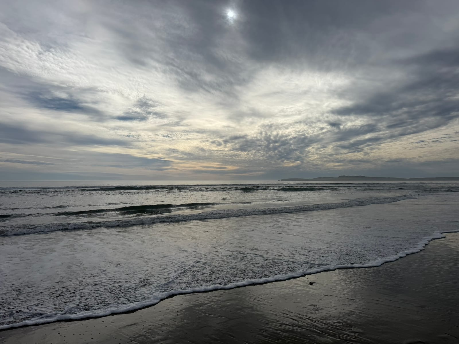 Limantour Beach with Dante