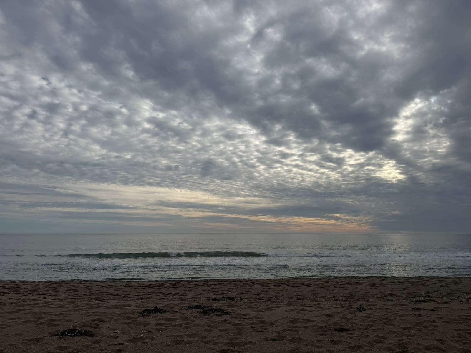 Limantour Beach with Dante