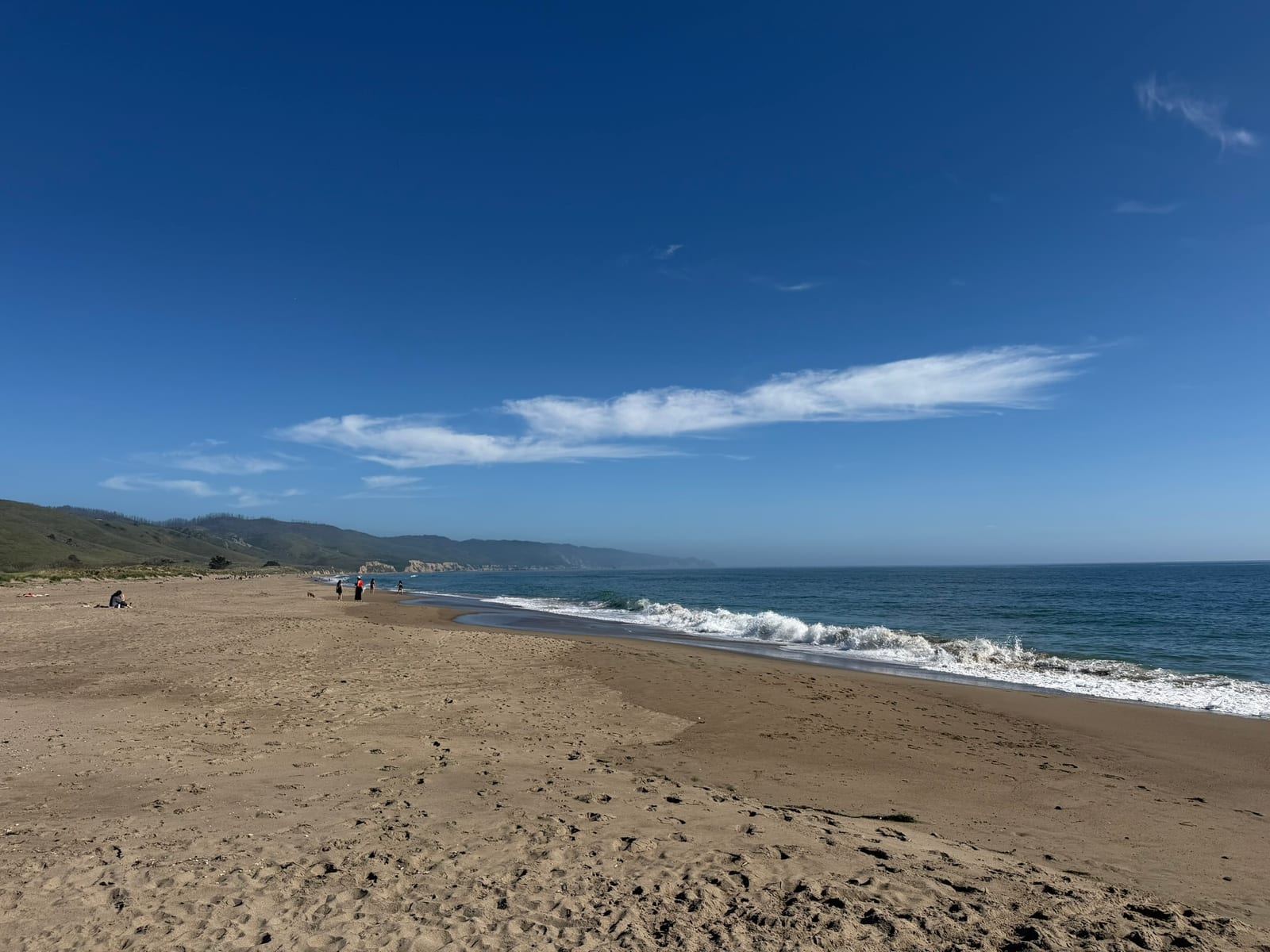 Limantour Beach with Dante