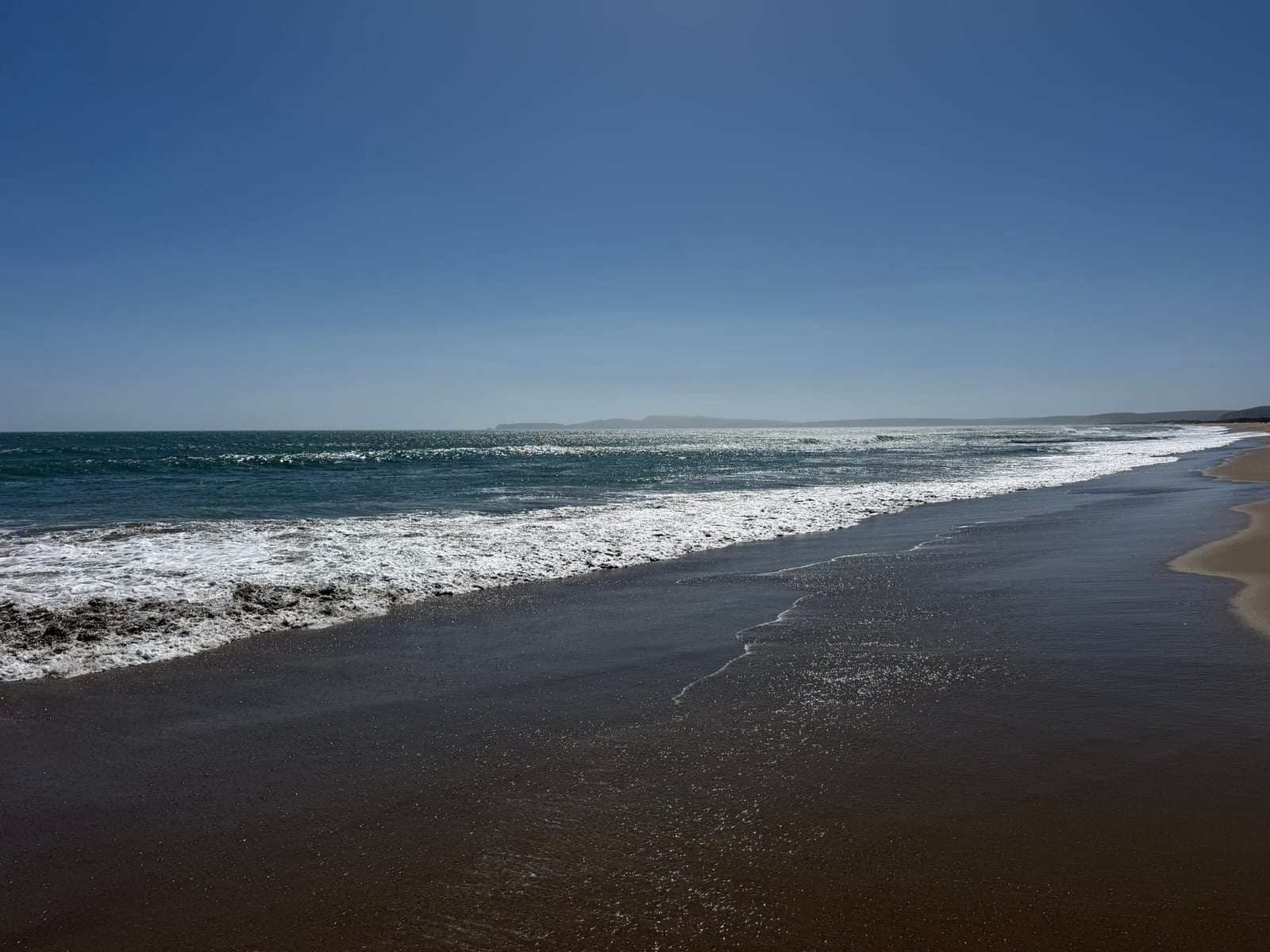 Limantour Beach with Dante