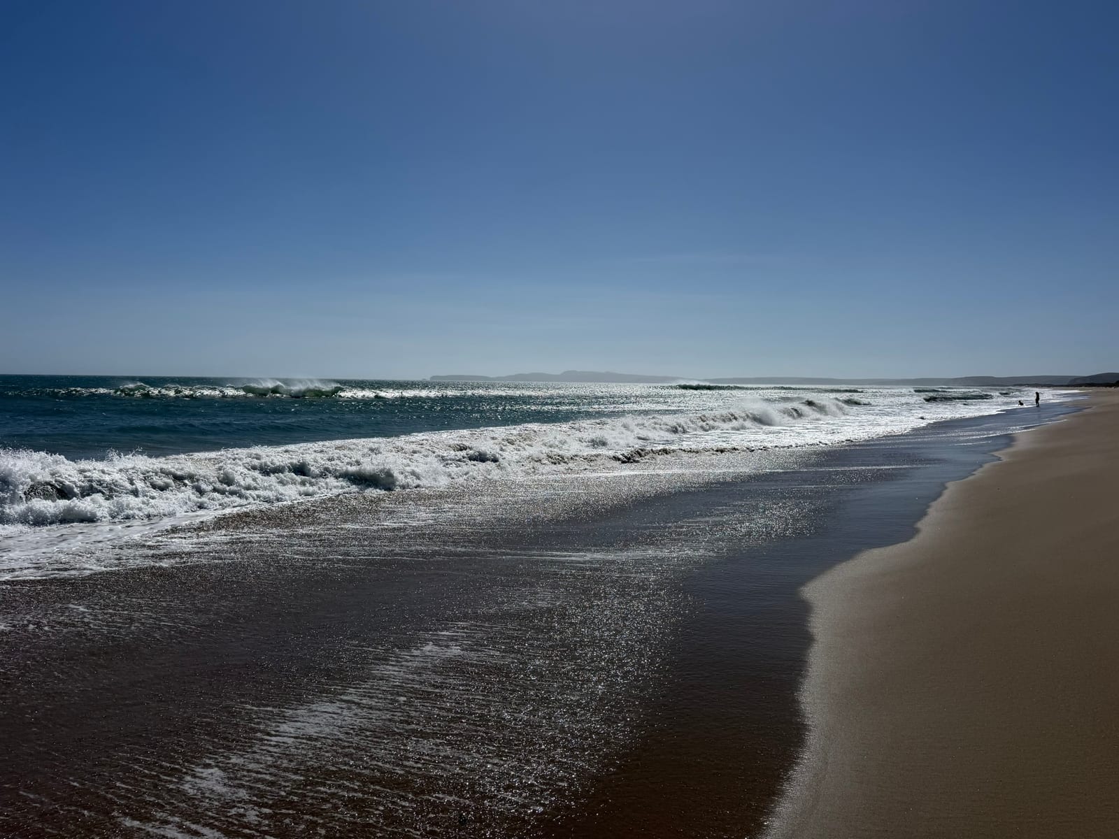 Limantour Beach with Dante