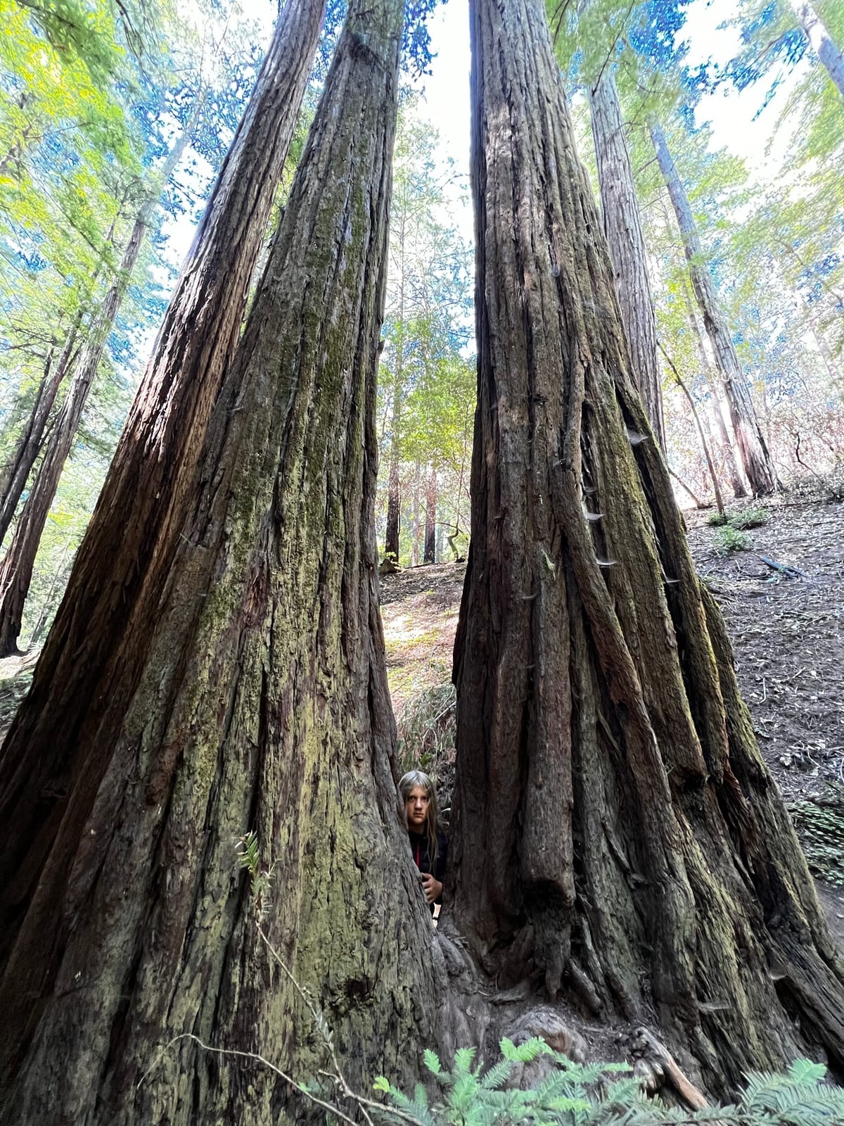 Schoolhouse Canyon