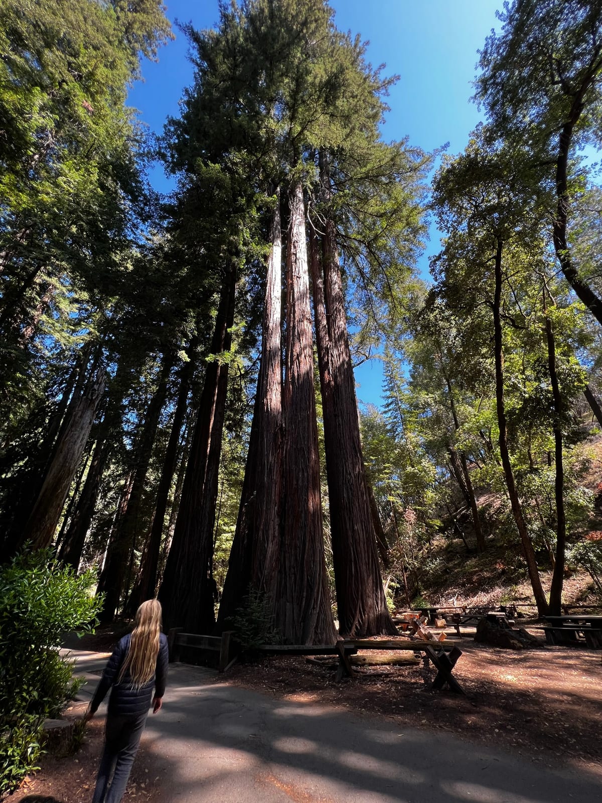 Schoolhouse Canyon — Russian River