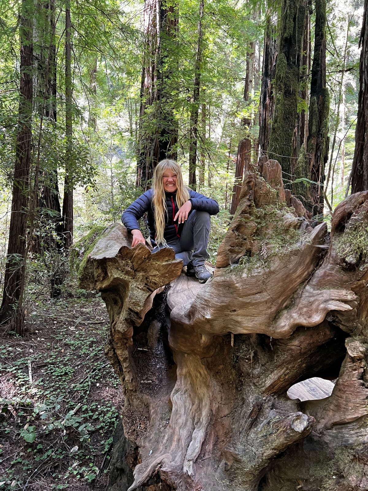 Schoolhouse Canyon — Russian River