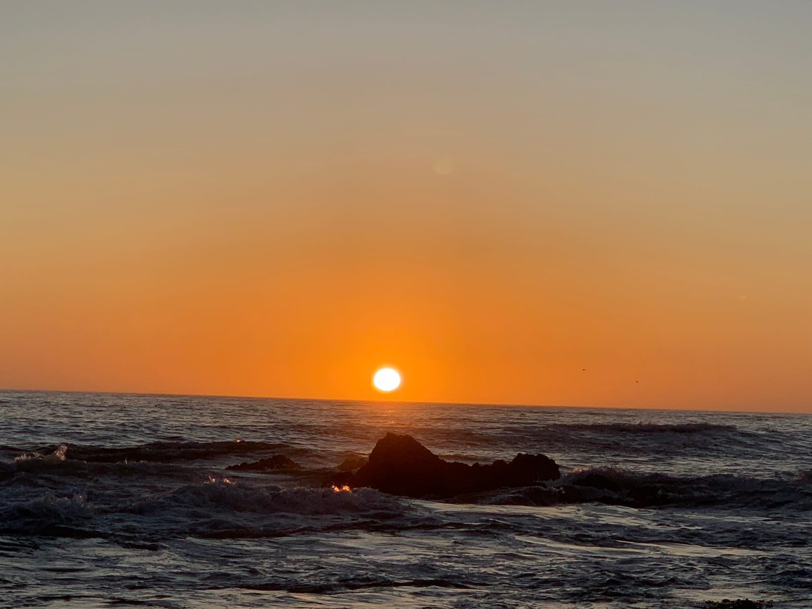 Half Moon Bay