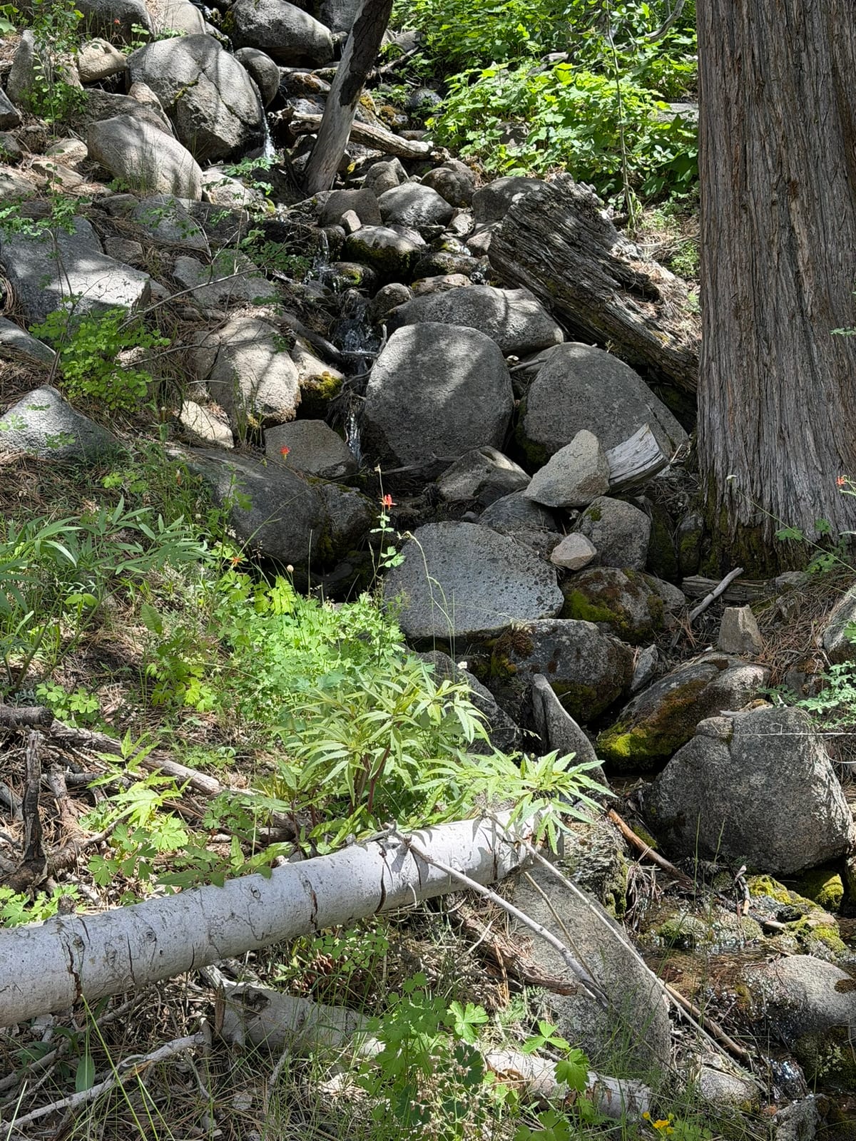 Hope Valley
