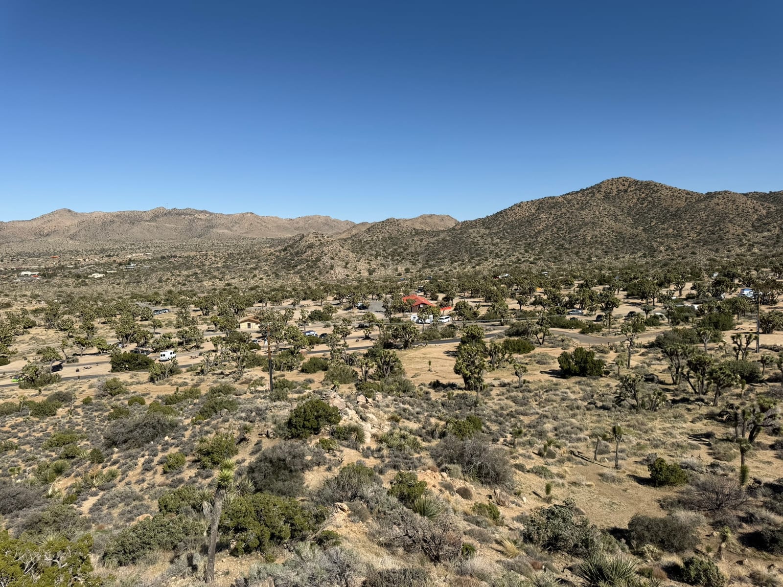 Joshua Tree National Park