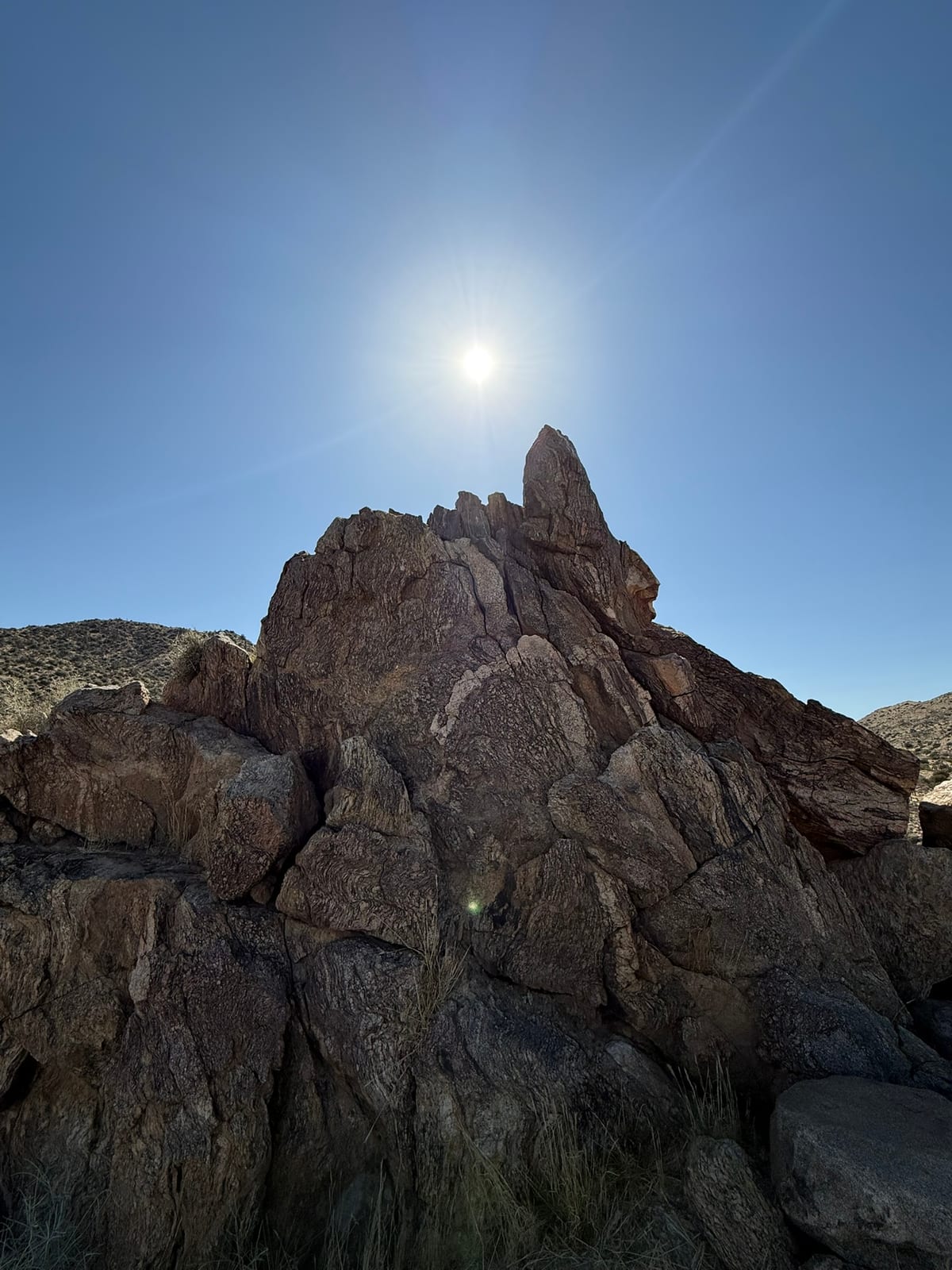 Joshua Tree National Park