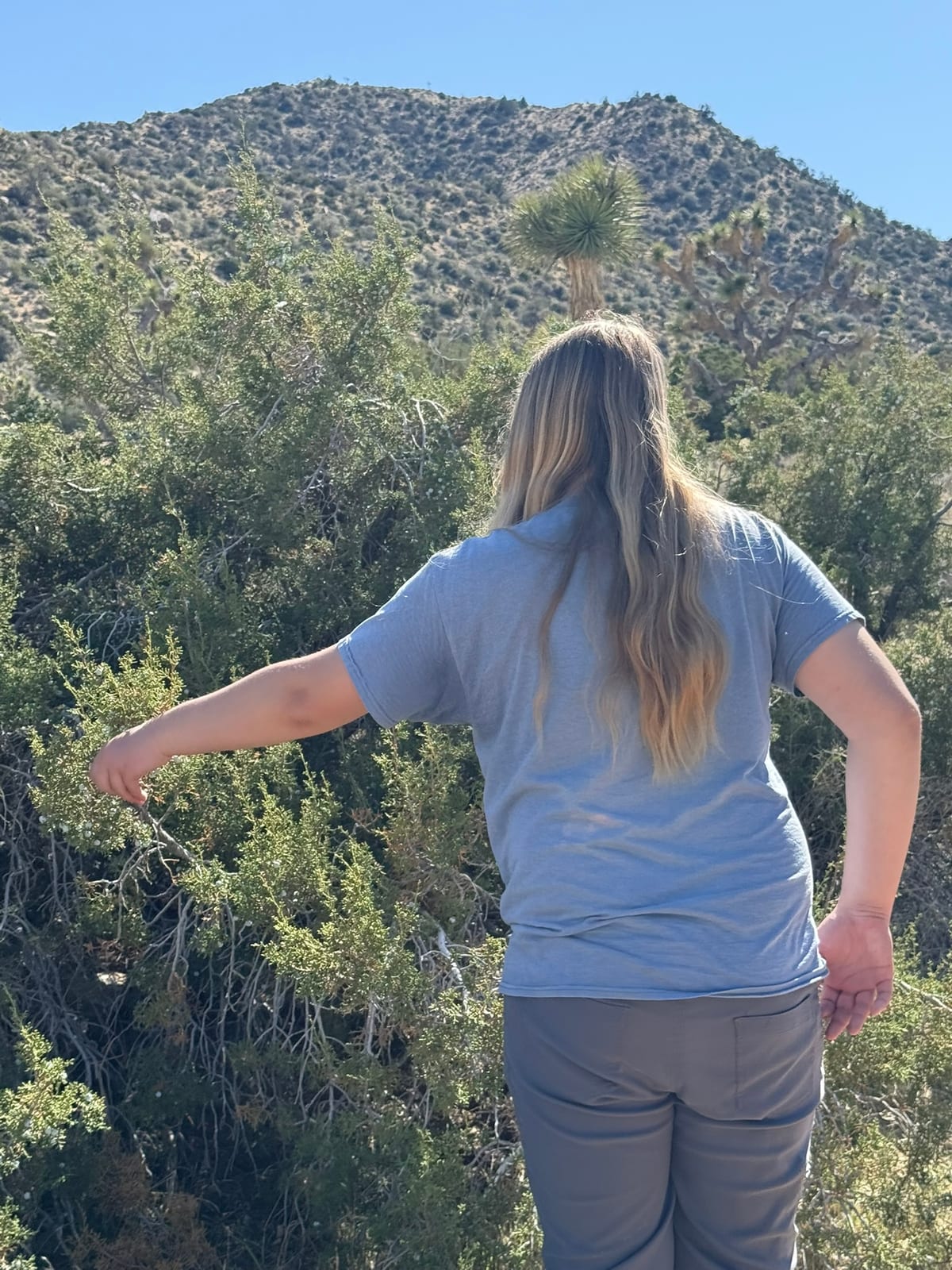Joshua Tree National Park