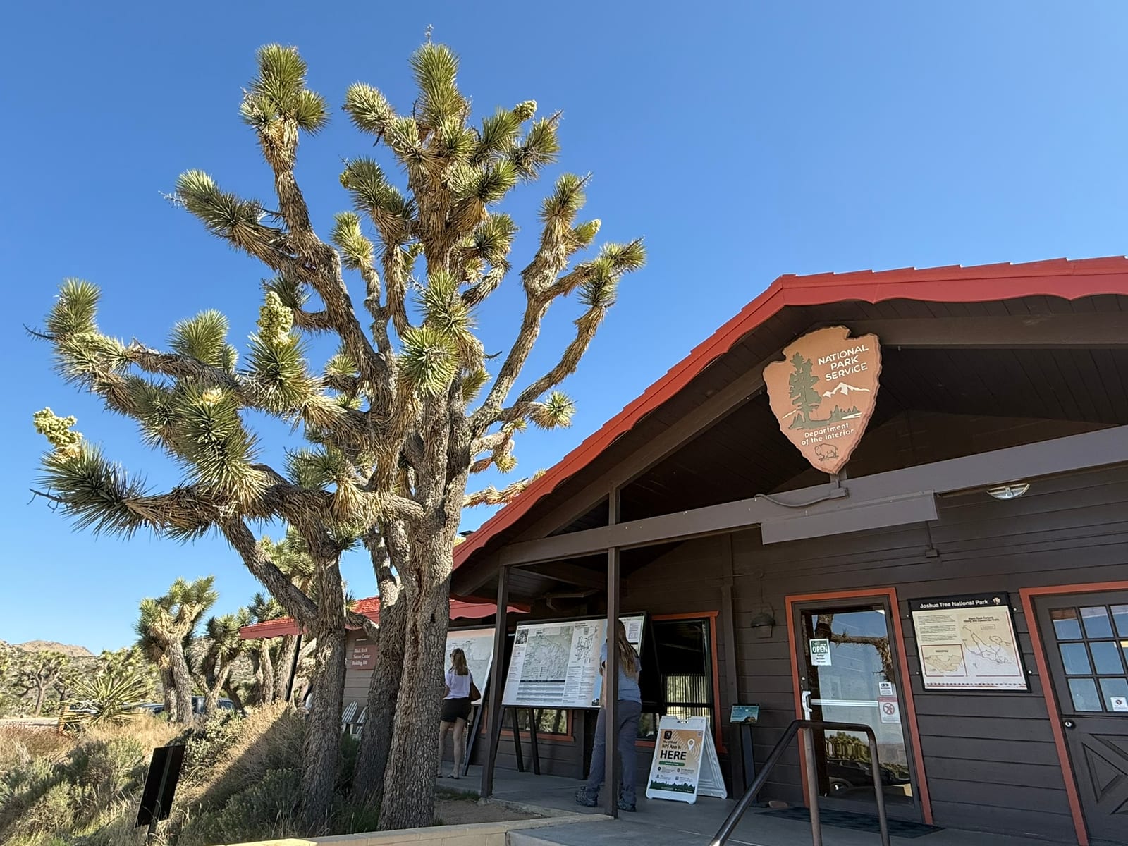 Joshua Tree National Park