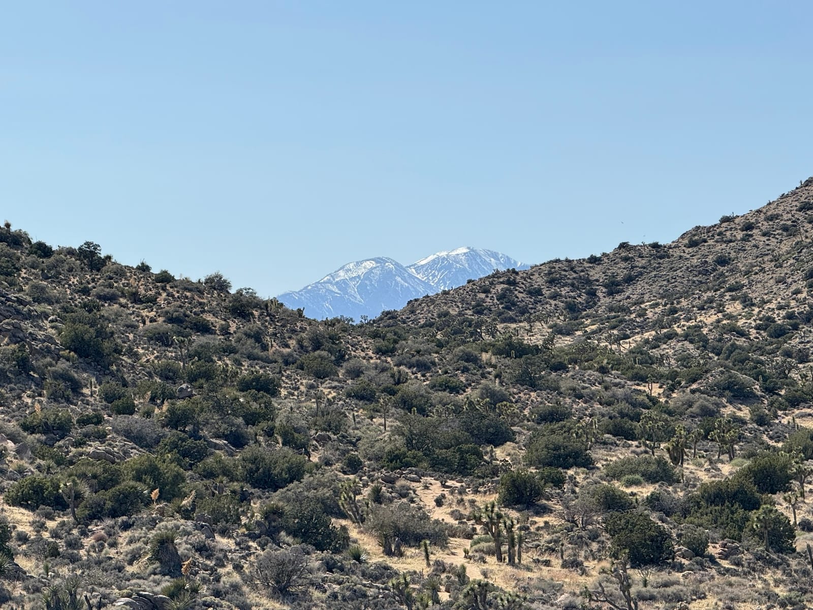 Joshua Tree National Park