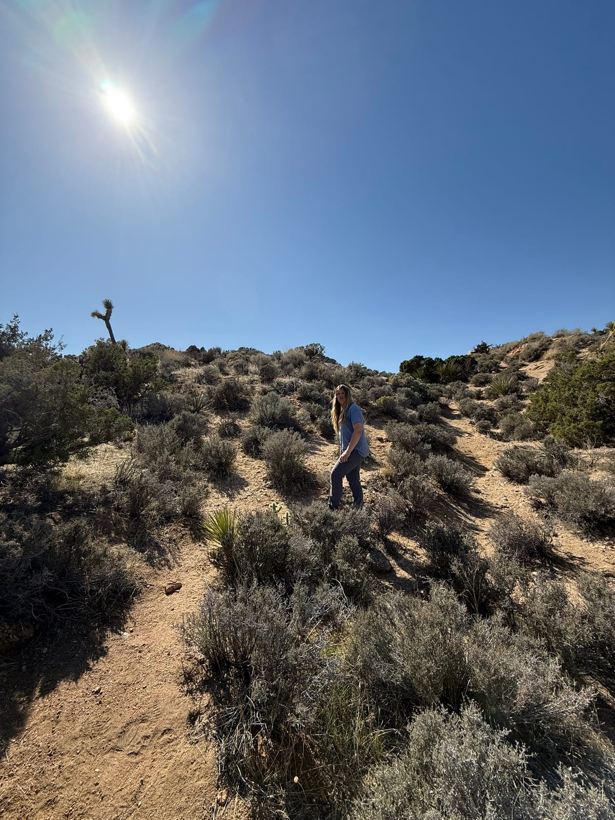 Joshua Tree National Park
