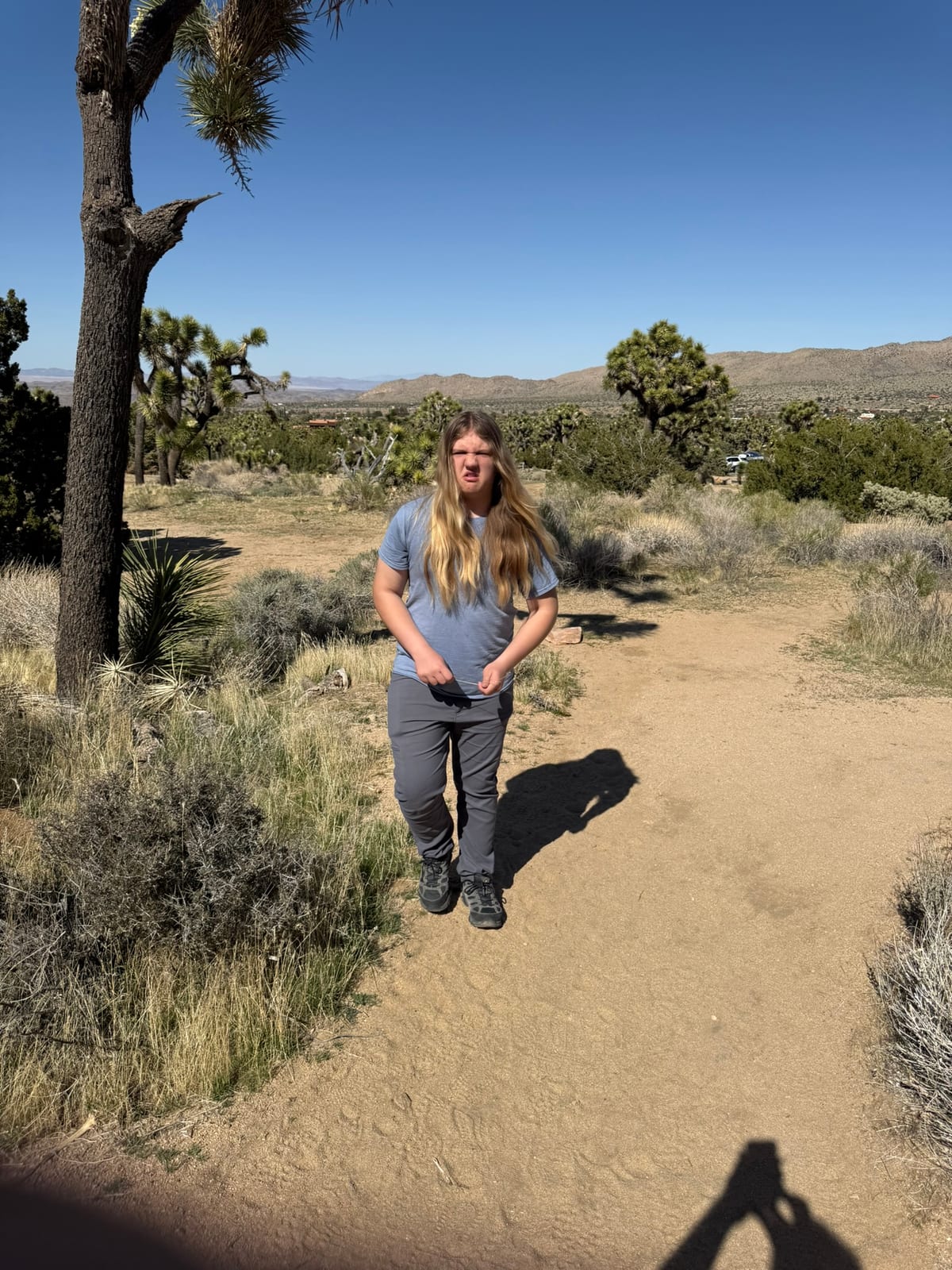 Joshua Tree National Park