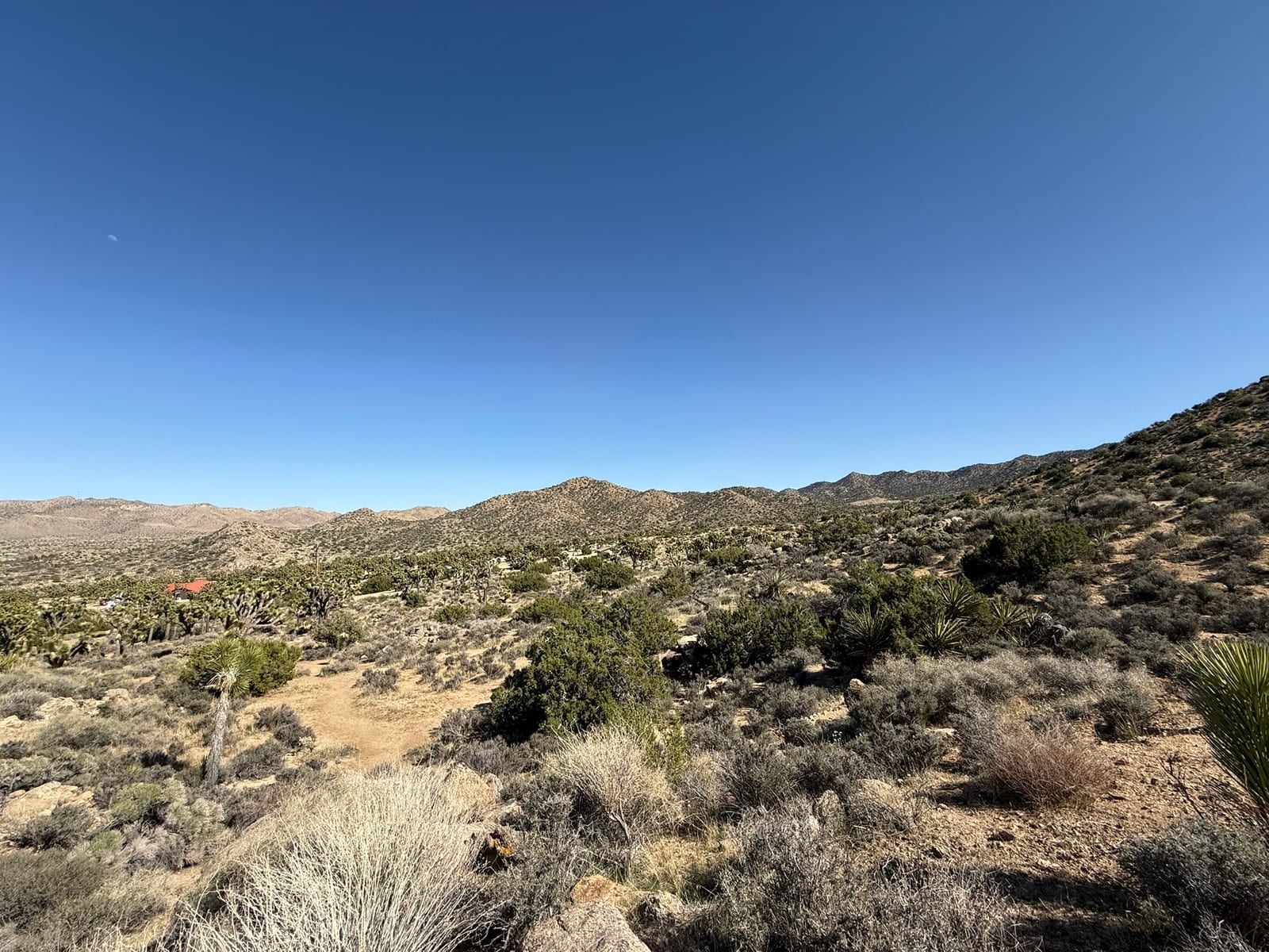 Joshua Tree National Park