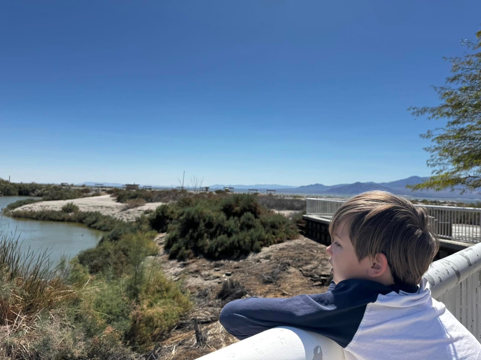 Joshua Tree National Park