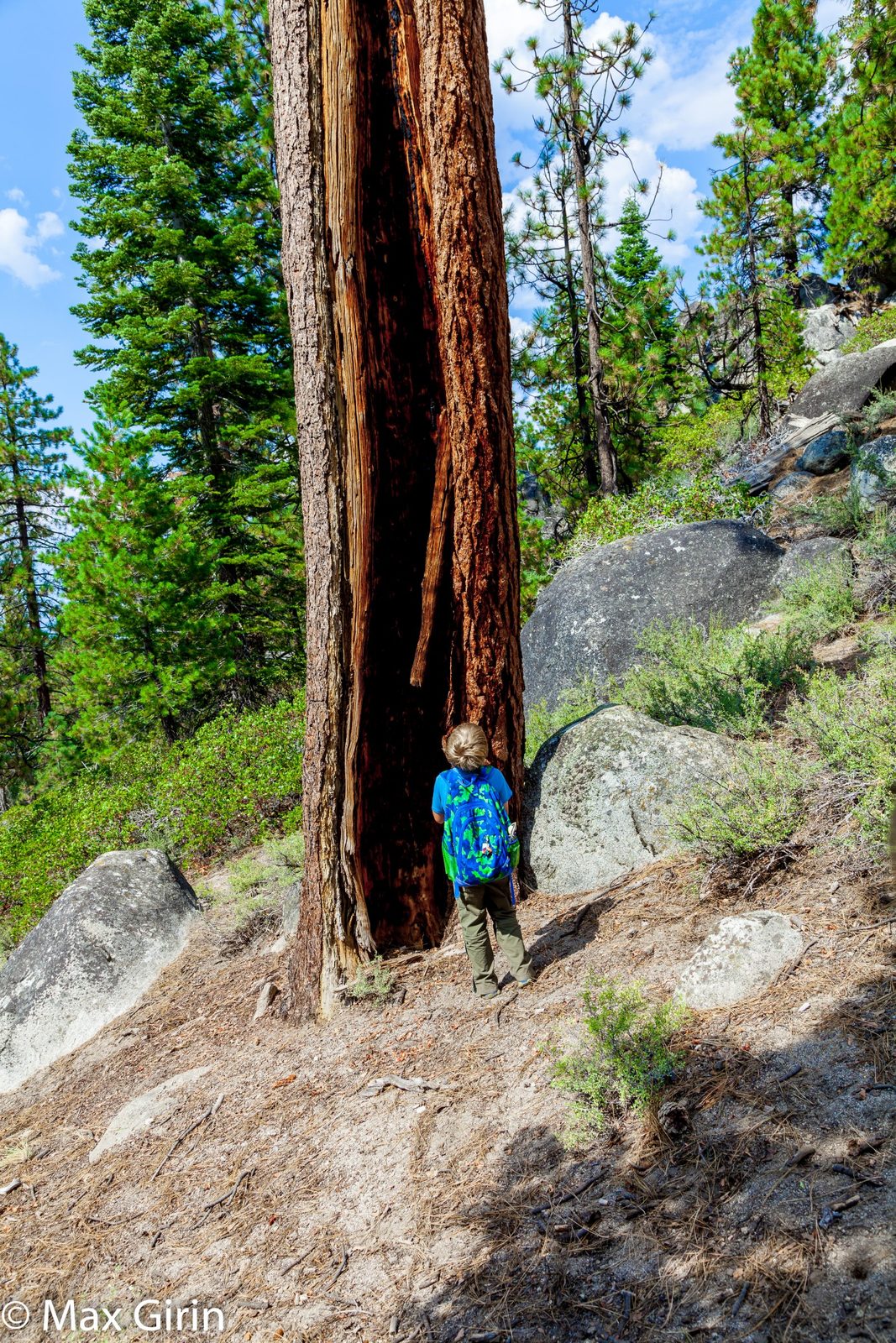 Van Sickle — Barn Trail Loop