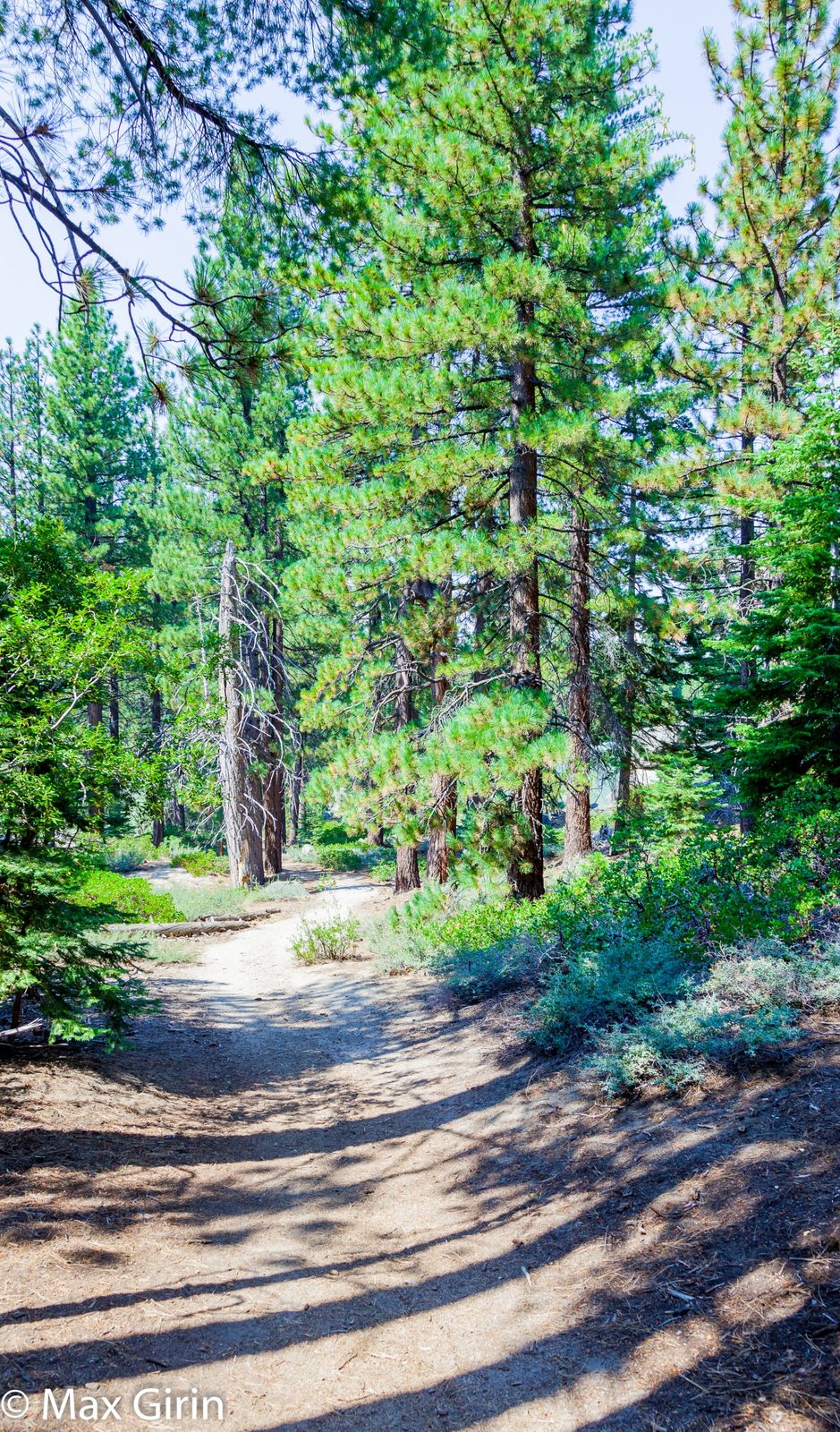 Van Sickle — Barn Trail Loop