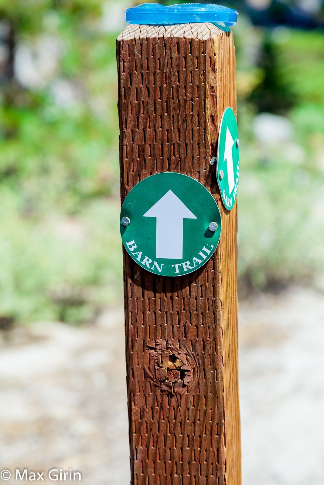 Van Sickle — Barn Trail Loop
