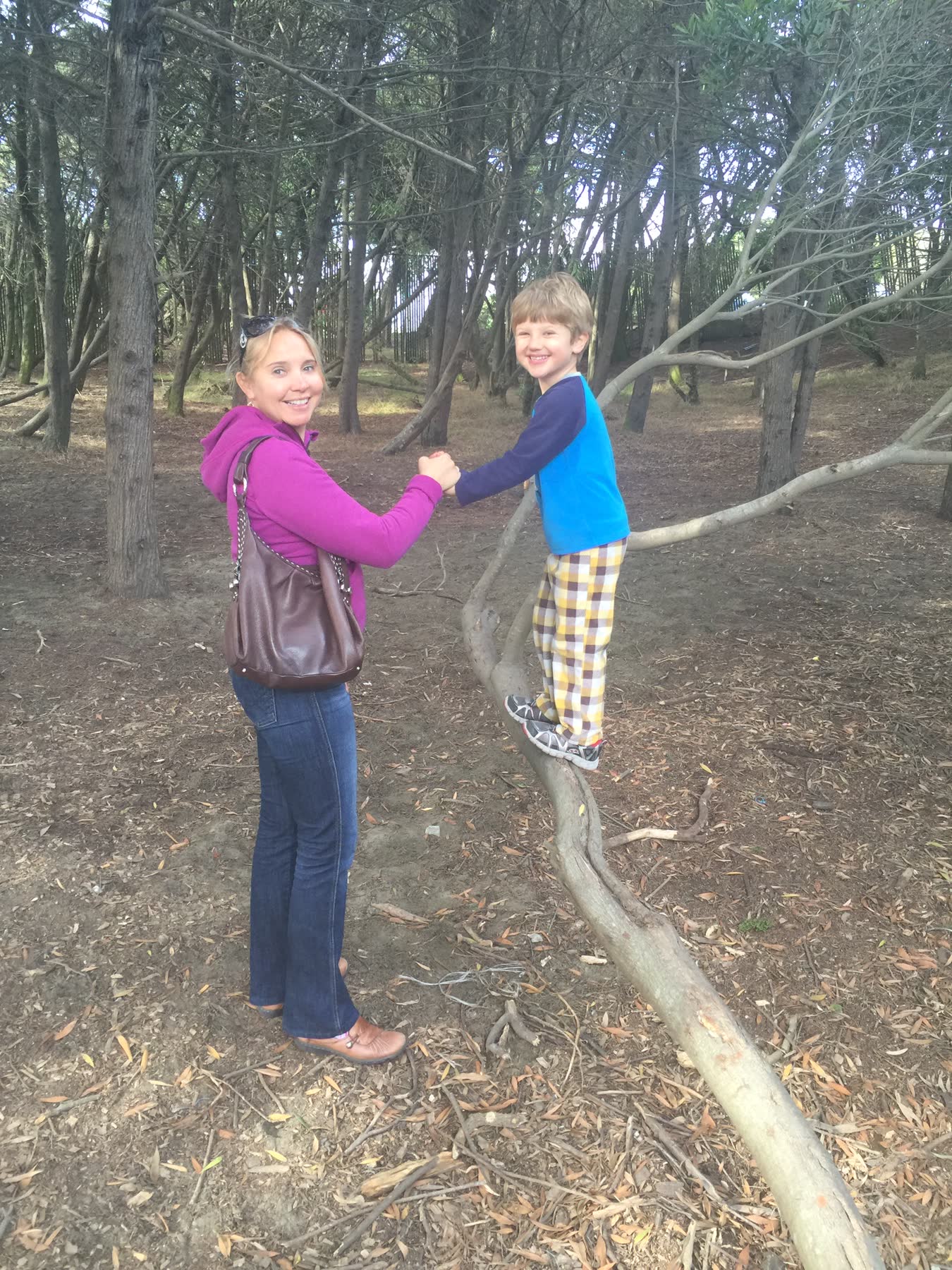 Lands End — the Coastal Trail