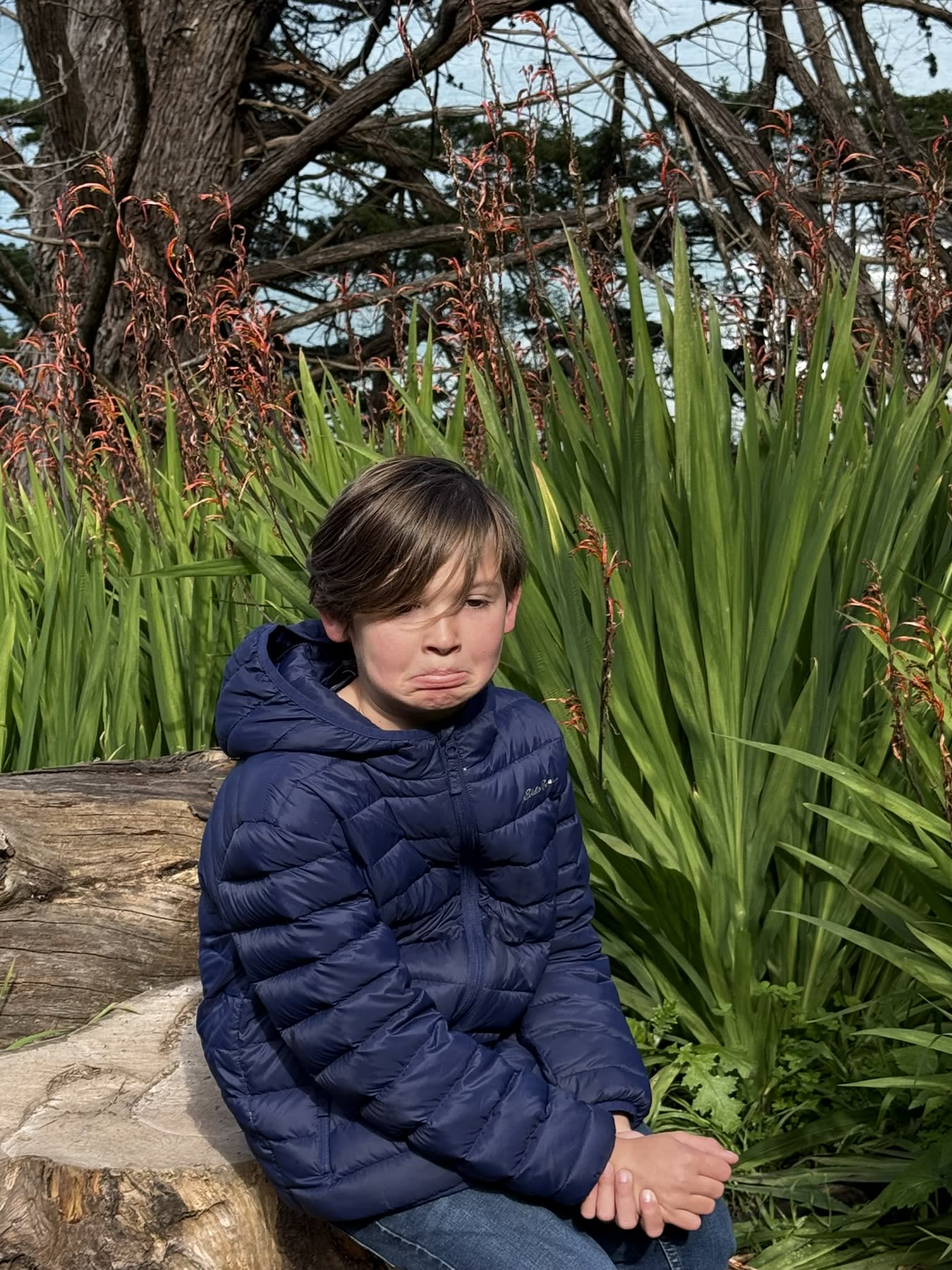 Lands End — the Coastal Trail